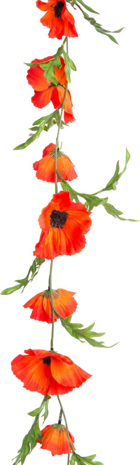 Kunstblume »Mohnblumen Girlande« Mohn, Botanic-Haus, Höhe 180 cm-HomeTrends