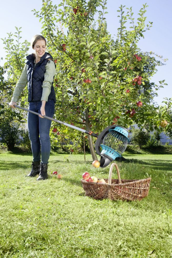 GARDENA Obstpflücker Gardena Rollsammler combisystem ohne Stiel
