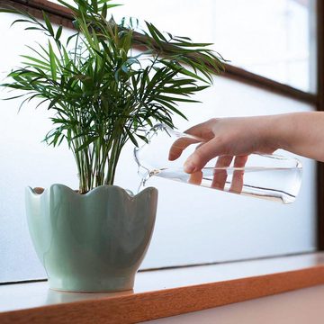 Thumbs Up Gießkanne Plant Buddy - Design Gießkanne aus Glas