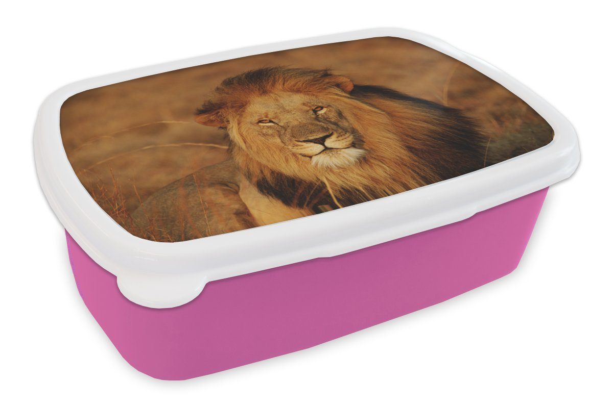 MuchoWow Lunchbox Löwe - Porträt - Jagd, Kunststoff, (2-tlg), Brotbox für Erwachsene, Brotdose Kinder, Snackbox, Mädchen, Kunststoff rosa