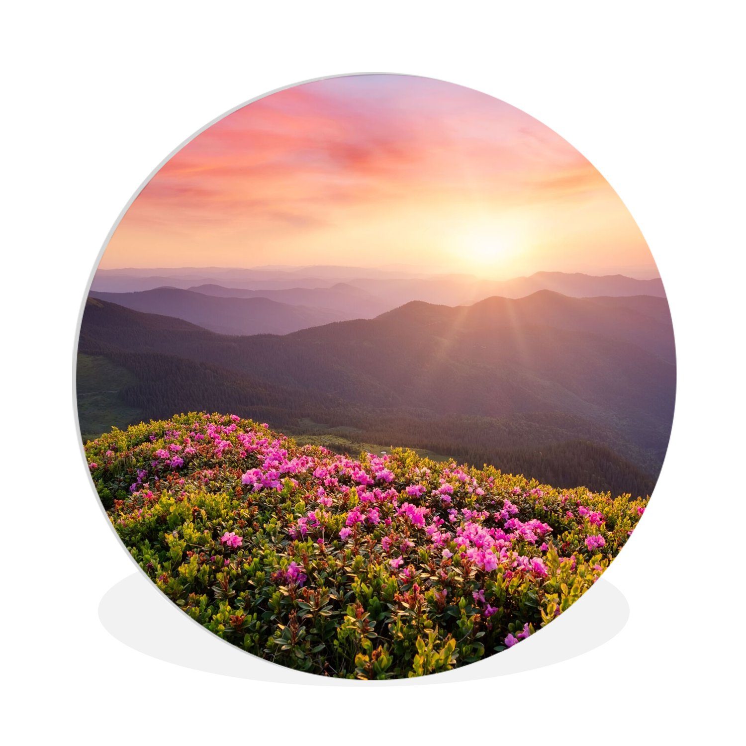 Gemälde Blumen - Berg - Sonnenuntergang - Landschaft