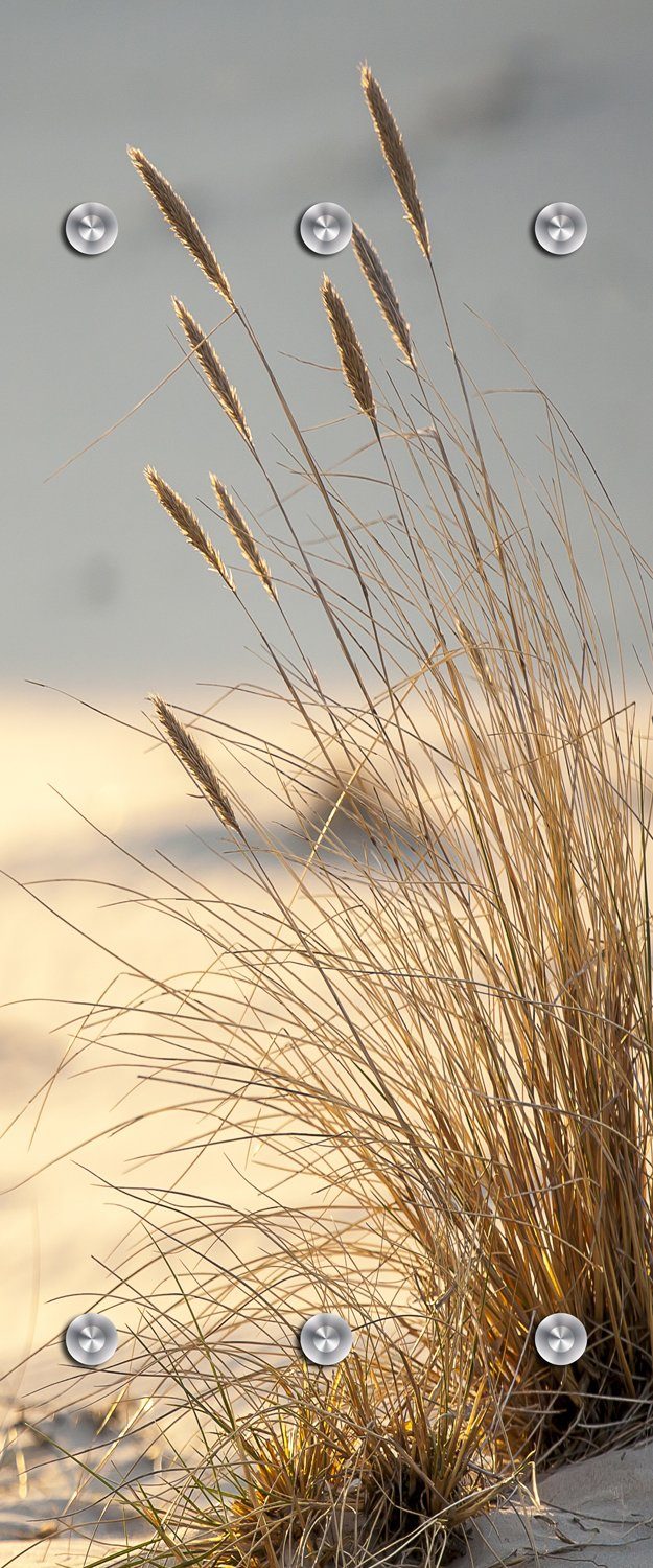 queence Wandgarderobe Strand - Dünen - Sträucher - Garderobe aus hochwertig günstig online kaufen