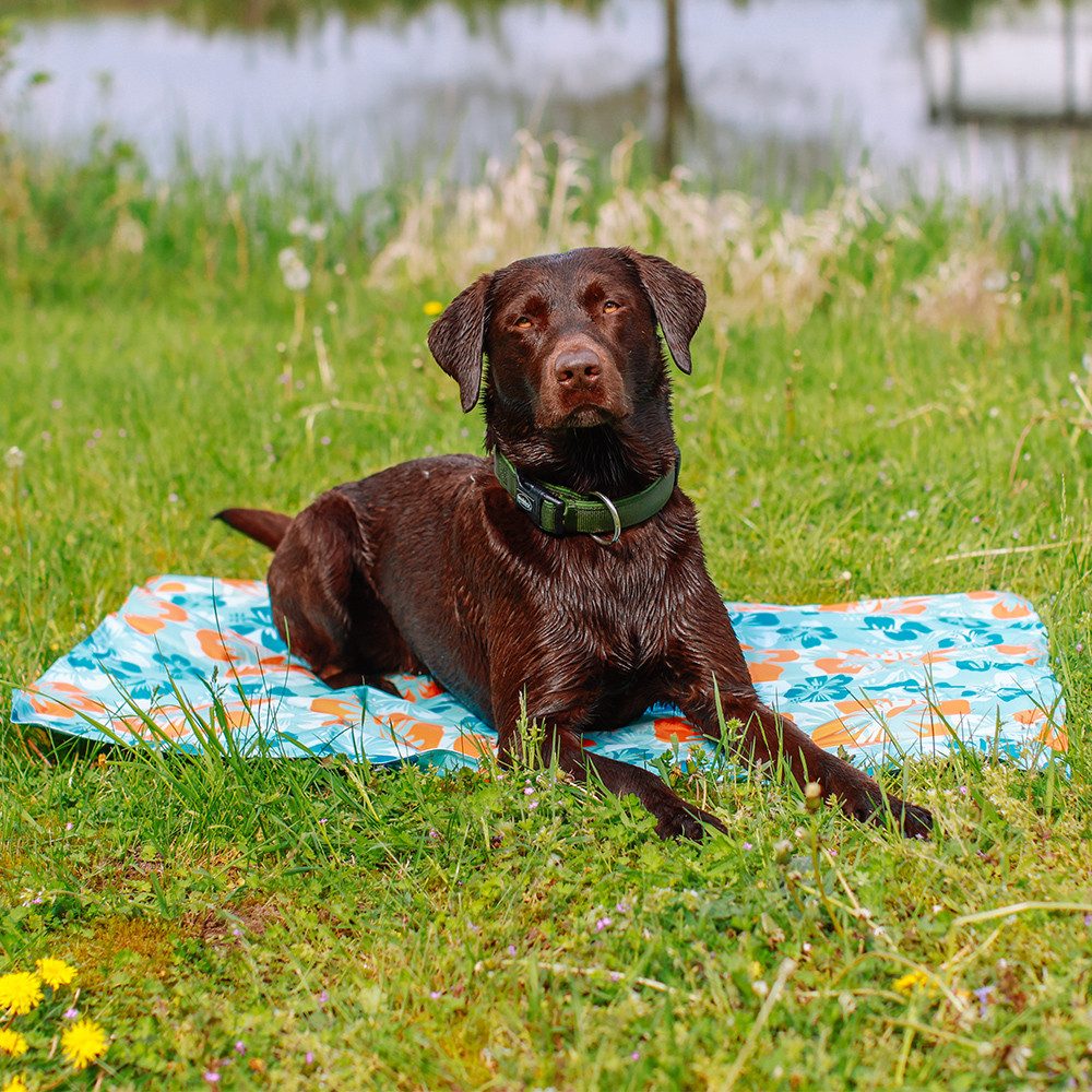 Nobby Hundematte Kühlmatte "Flower", Kühlend günstig online kaufen