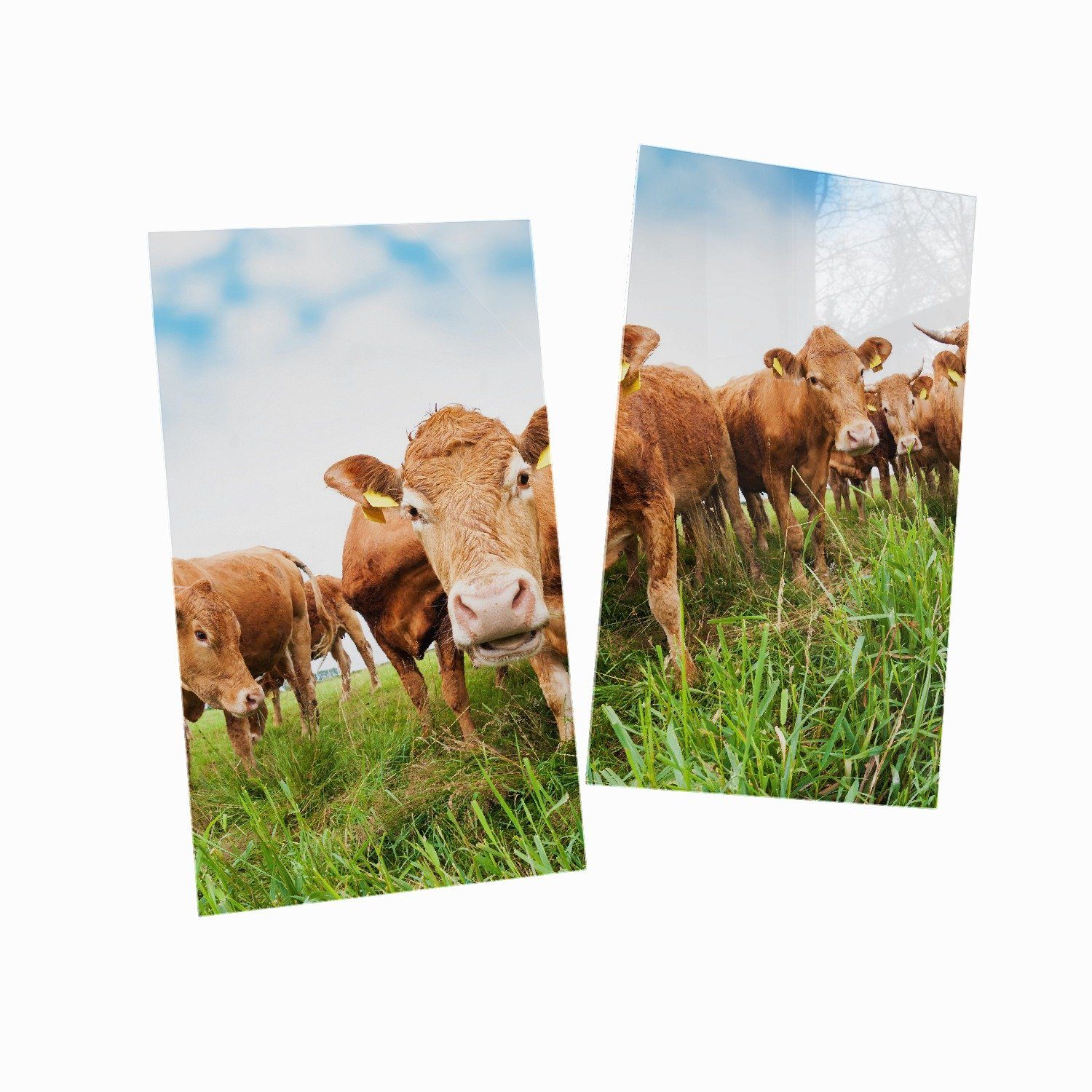 2 Größen inkl. tlg., ESG-Sicherheitsglas, Wallario Noppen), der Sommer verschiedene Kühe Herd-Abdeckplatte im Weide, 5mm (Glasplatte, auf