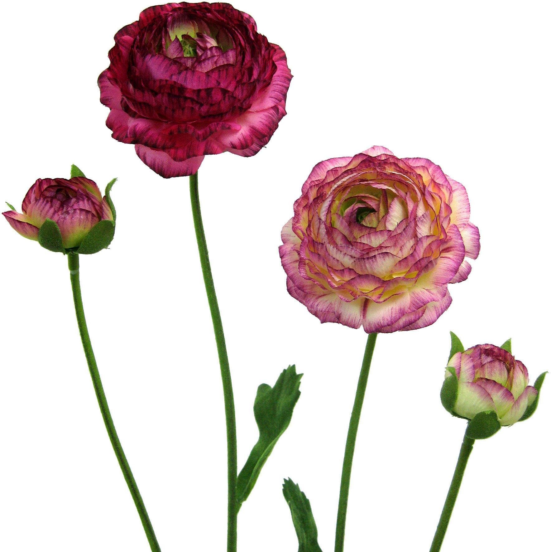 Kunstblume Ranunkel, Creativ green, Höhe 40 cm, für schöne Arrangements wie Sträuße und Gestecke