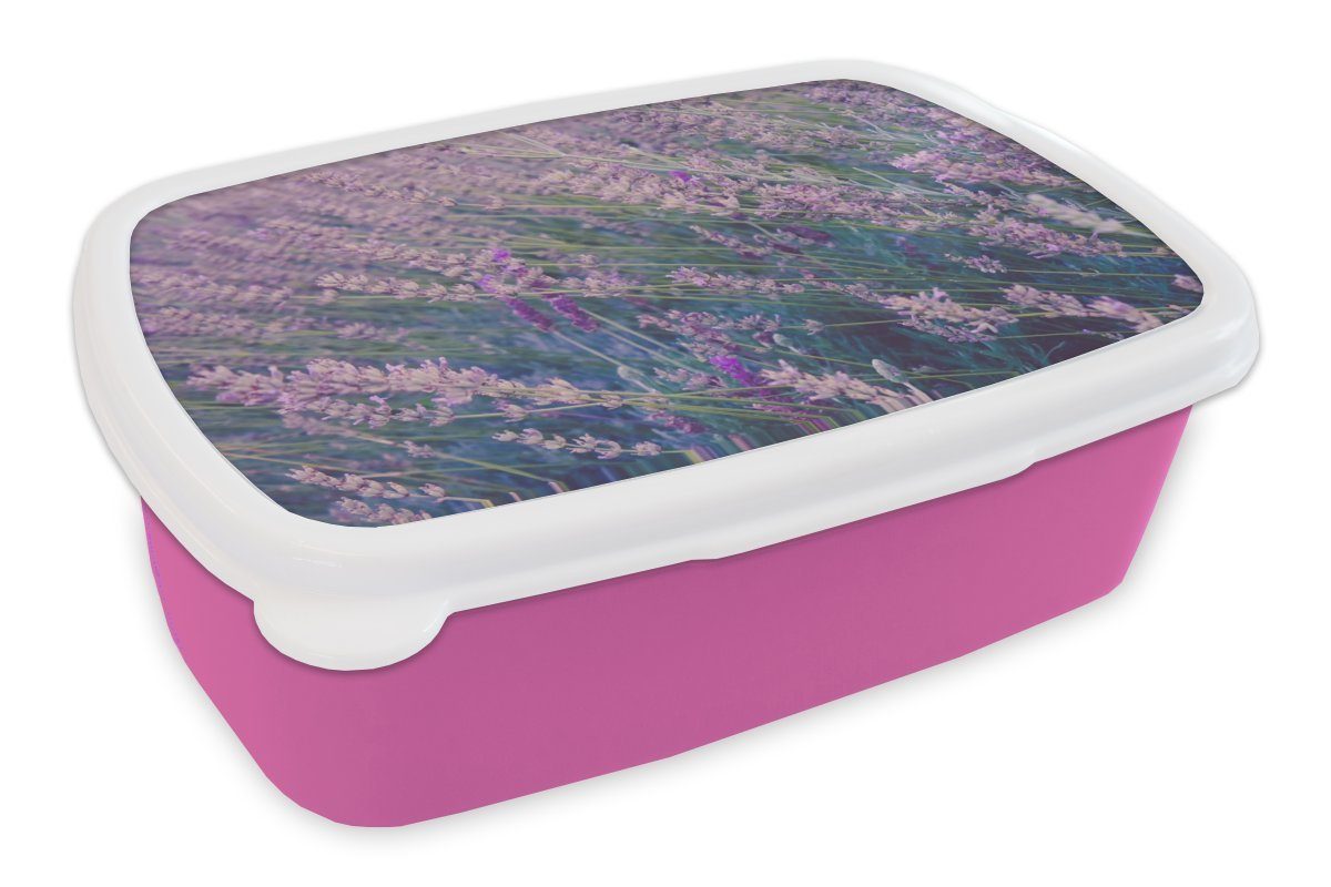 Förderaktion MuchoWow Lunchbox Blumen Brotbox Erwachsene, - rosa Lila, Snackbox, Lavendel Kunststoff Kinder, (2-tlg), Kunststoff, - für Brotdose Mädchen