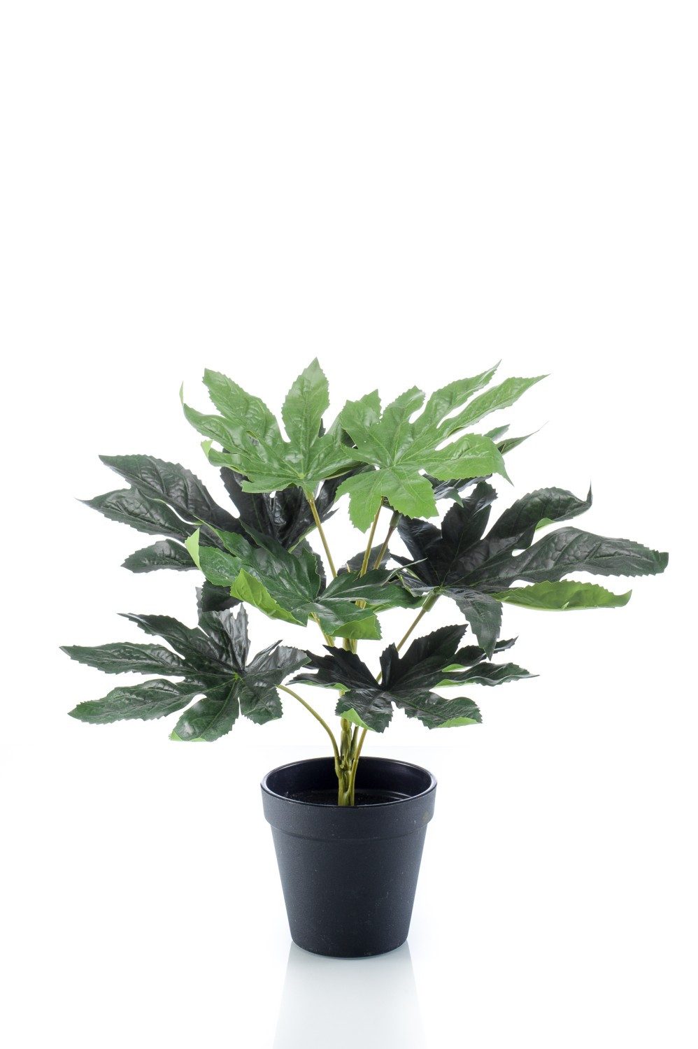 Künstliche Zimmerpflanze Aralia künstlich TEULADA, grün, 30cm Zimmeraralie, artplants, Höhe 30.0 cm