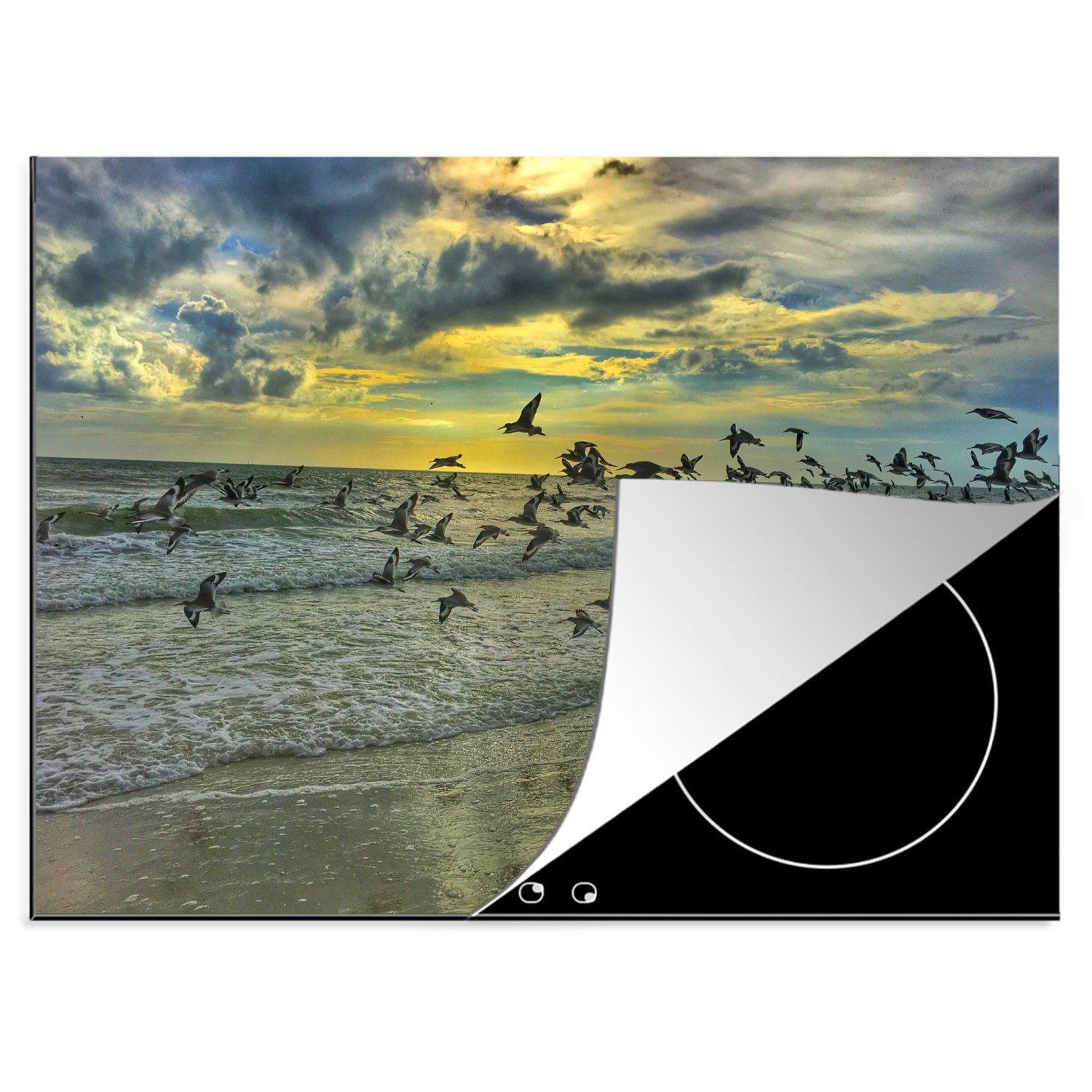 MuchoWow Herdblende-/Abdeckplatte Strand - Vögel - Sonne, Vinyl, (1 tlg), 70x52 cm, Mobile Arbeitsfläche nutzbar, Ceranfeldabdeckung