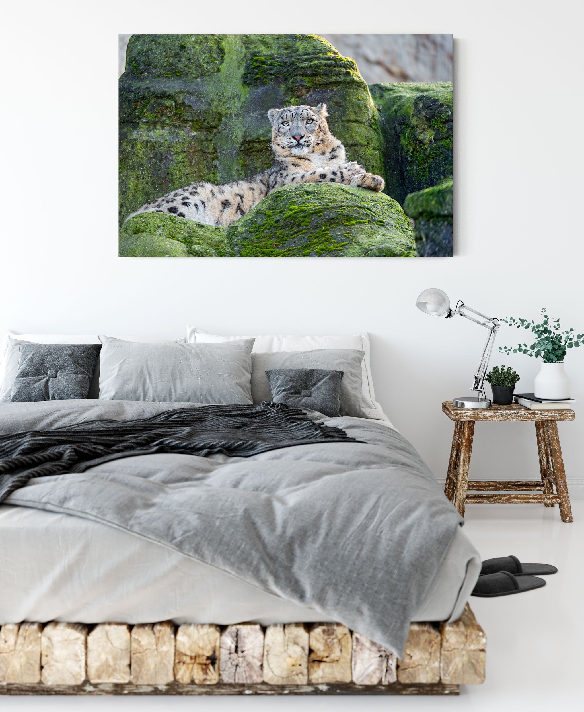 bespannt, inkl. Schneeleopard auf Zackenaufhänger (1 Leinwandbild Schneeleopard auf Pixxprint St), Leinwandbild Stein, fertig Stein