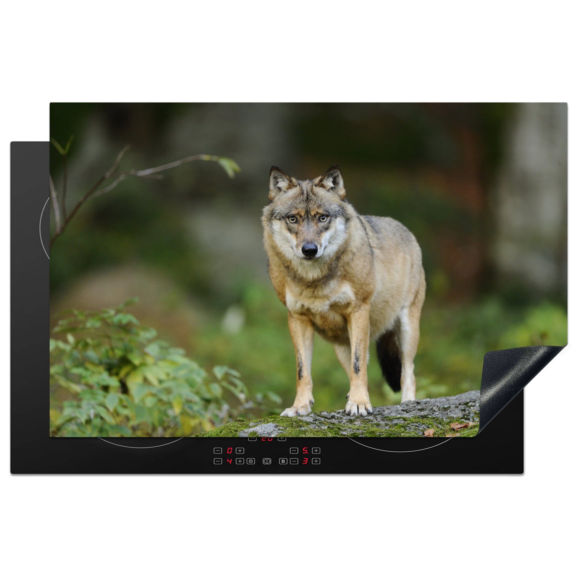 MuchoWow Herdblende-/Abdeckplatte Wolf - Tiere - Wald, Vinyl, (1 tlg), 81x52 cm, Induktionskochfeld Schutz für die küche, Ceranfeldabdeckung