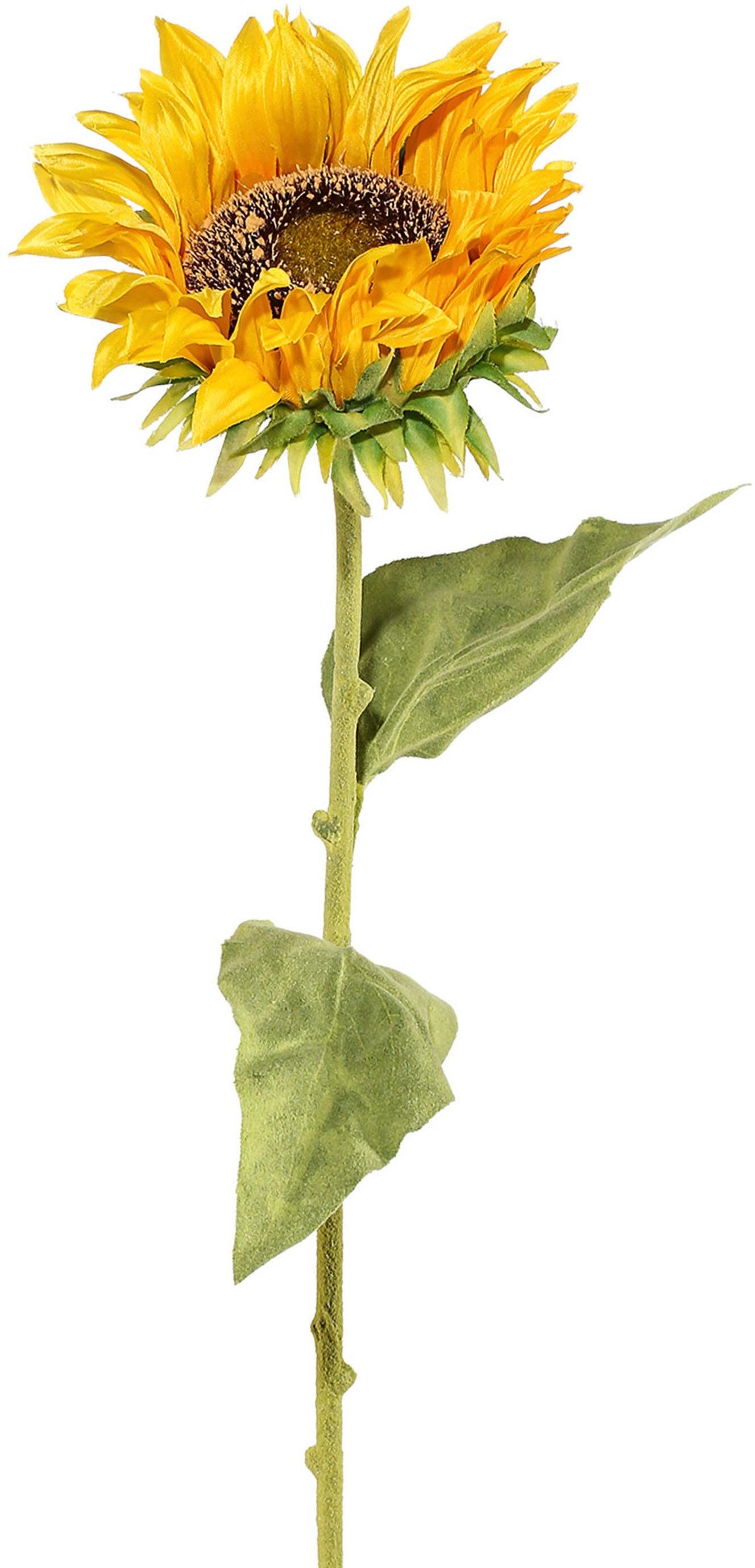 Kunstblume, Creativ green, Höhe 66 cm, günstig online kaufen