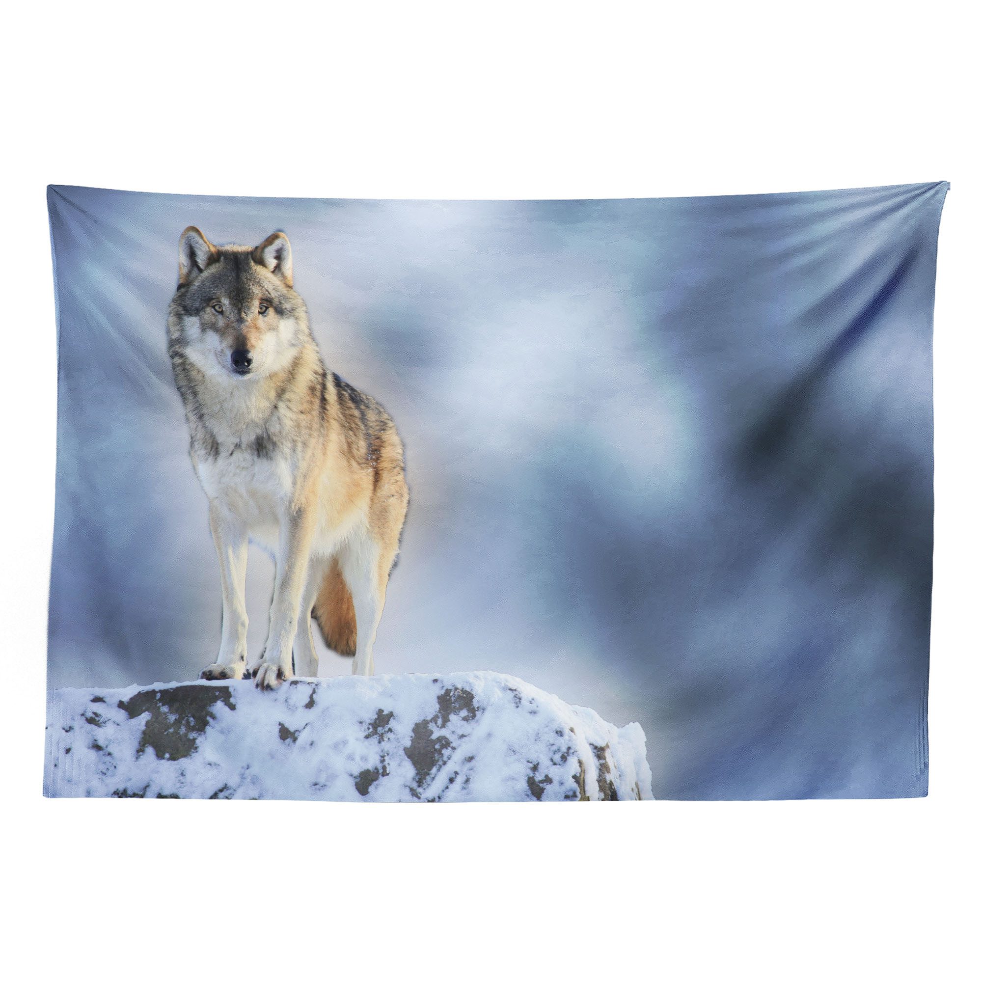 Abakuhaus Wandteppich aus Weiches Mikrofaser Stoff Für das Wohn und Schlafzimmer, rechteckig, Wolf Carnivore Canine im Schnee