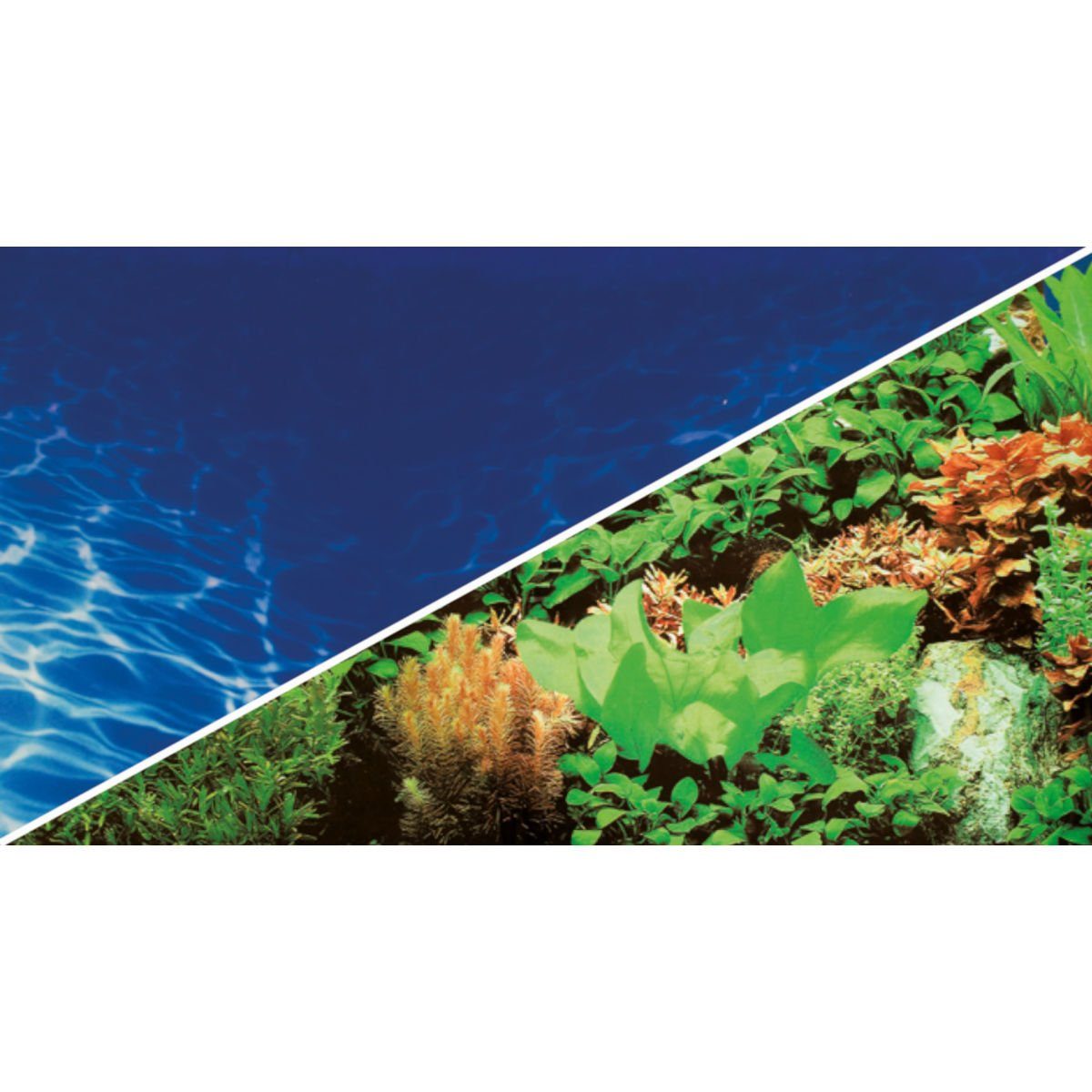 HOBBY Aquarienrückwand Fotorückwand Pflanzen 8 / Marin Blue, 100 x 50 cm von HOBBY