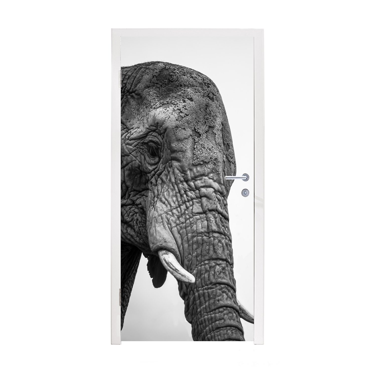 MuchoWow Türtapete Neugierige Elefanten in Schwarz und Weiß, Matt, bedruckt, (1 St), Fototapete für Tür, Türaufkleber, 75x205 cm