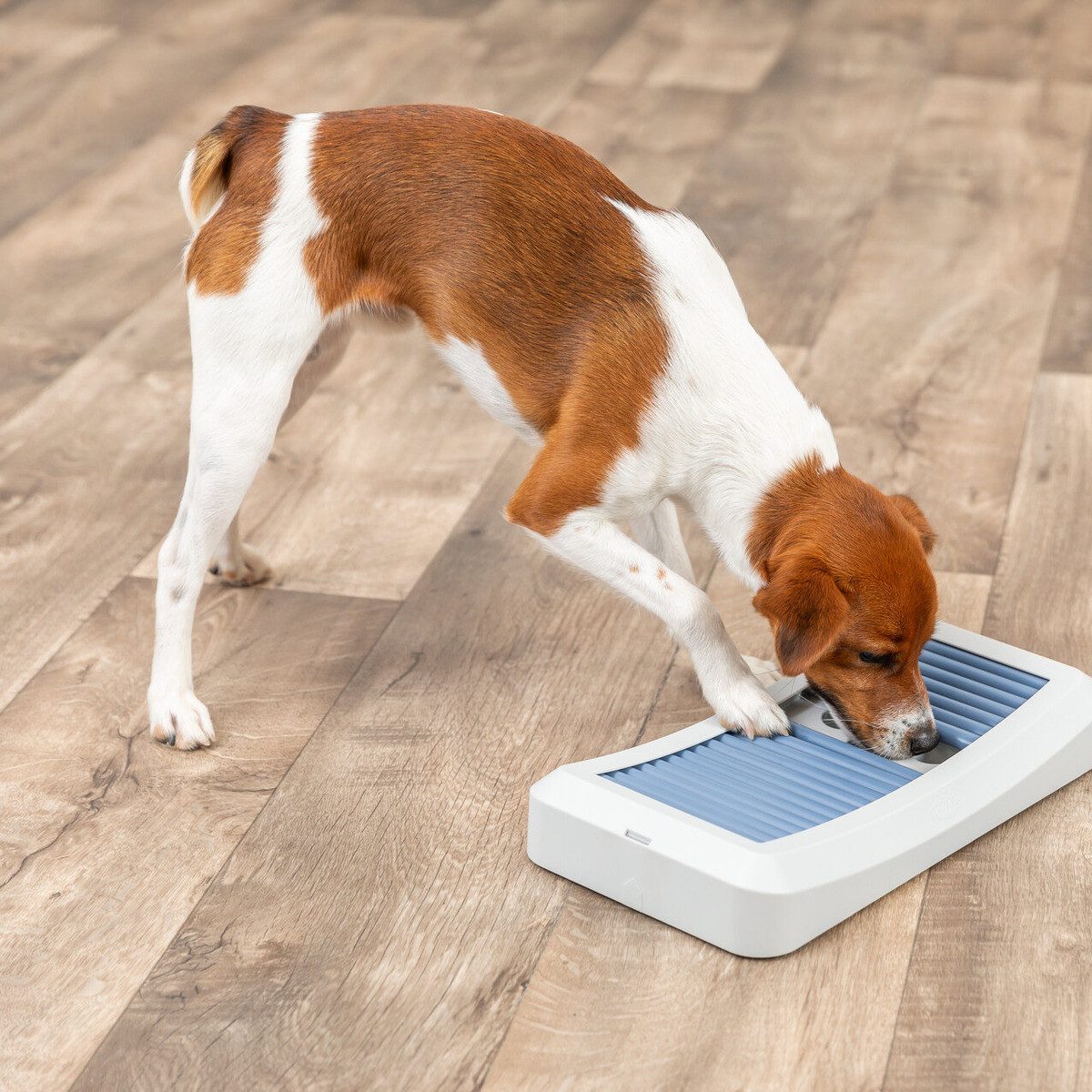 TRIXIE Tier-Intelligenzspielzeug Intelligenzspielzeug Rod Board günstig online kaufen