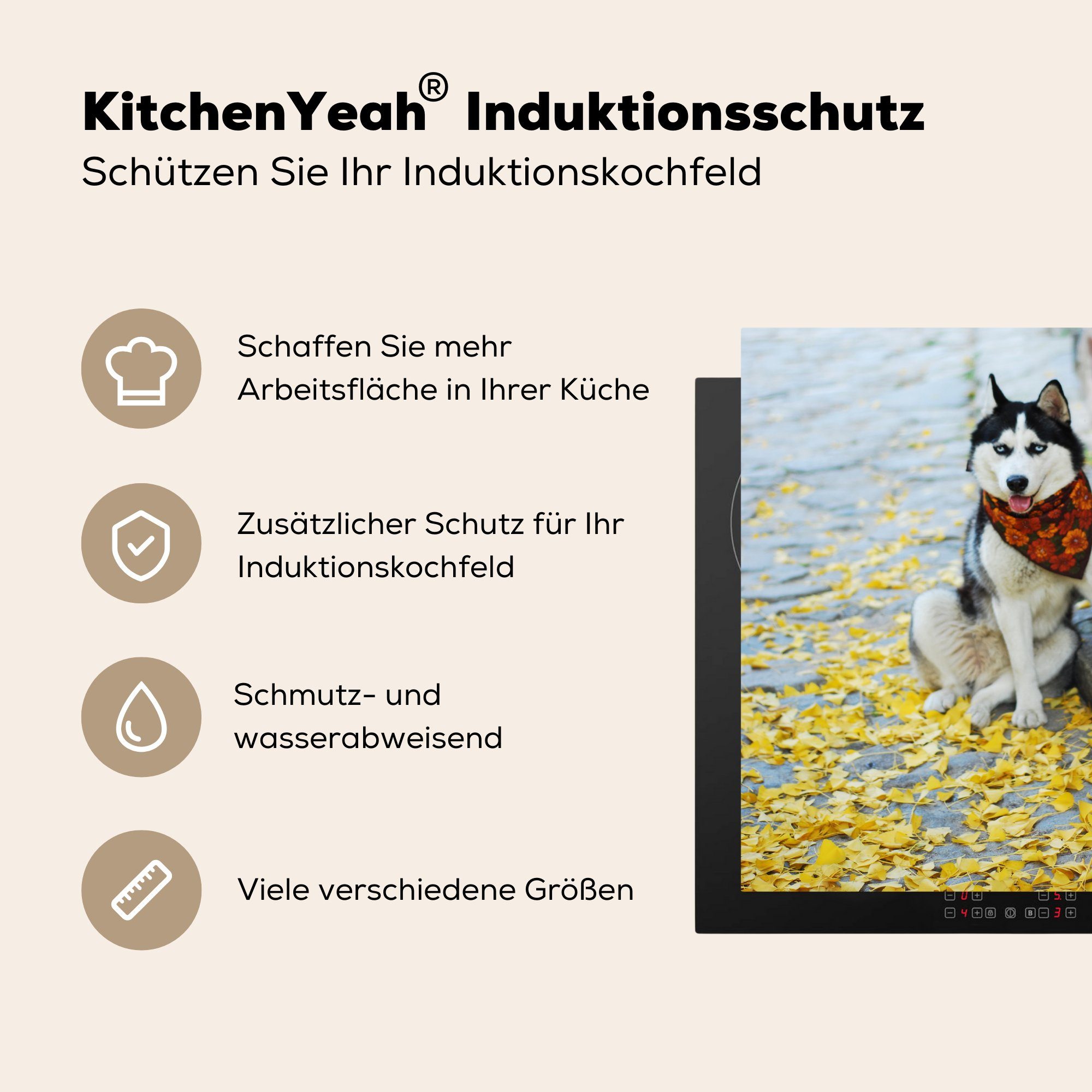 Ceranfeldabdeckung, Hund Herbst Herdblende-/Abdeckplatte für MuchoWow Vinyl, Husky, (1 tlg), küche Arbeitsplatte - cm, 78x78 -