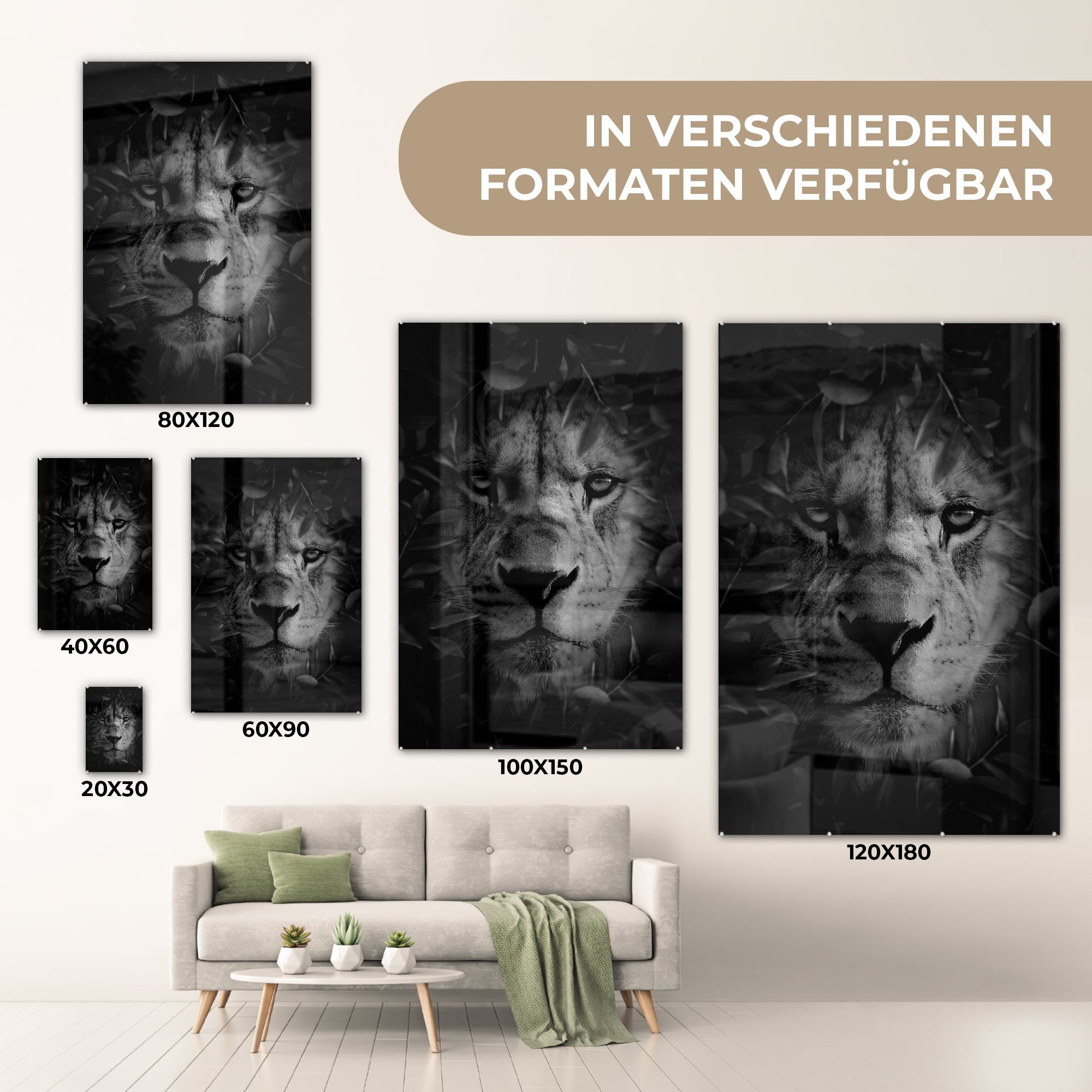 - - - Wanddekoration weiß, Glas Nahaufnahme und Wandbild bunt im MuchoWow Glas Blättern St), mit (1 Dschungel Löwen eines auf Acrylglasbild Bilder schwarz auf Glasbilder - Foto