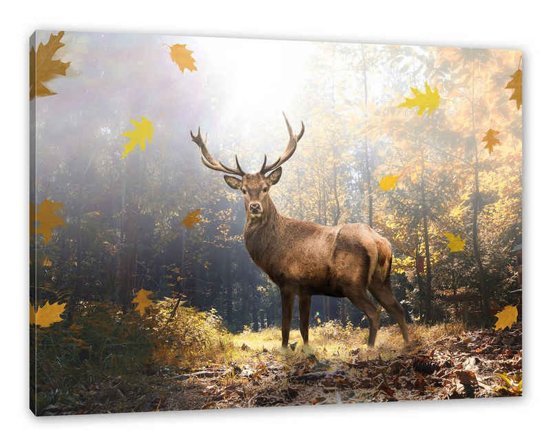 Pixxprint Leinwandbild Hirsch im Wald mit fallenden Blättern, Hirsch im Wald mit fallenden Blättern (1 St), Leinwandbild fertig bespannt, inkl. Zackenaufhänger