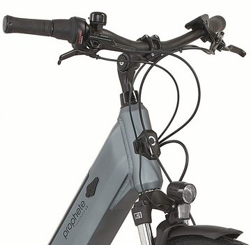 Prophete E-Bike Prophete E-Bike Geniesser 2.8, 7 Gang Shimano Nexus Schaltwerk, Nabenschaltung, Frontmotor, 540 Wh Akku, Pedelec