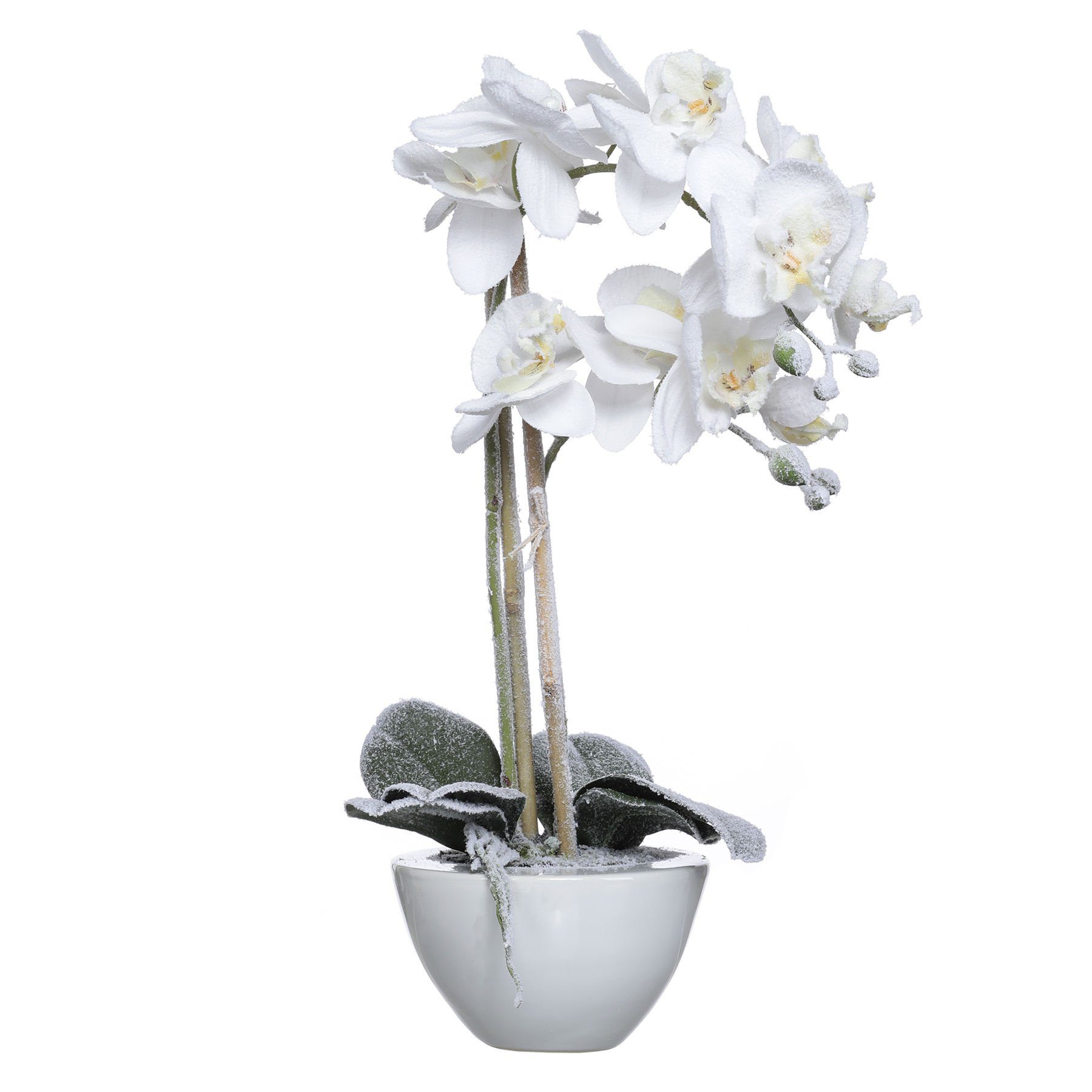 Kunstpflanze Orchidee Orchidee, Belles Décorations, mit künstlichen Eiskristallen