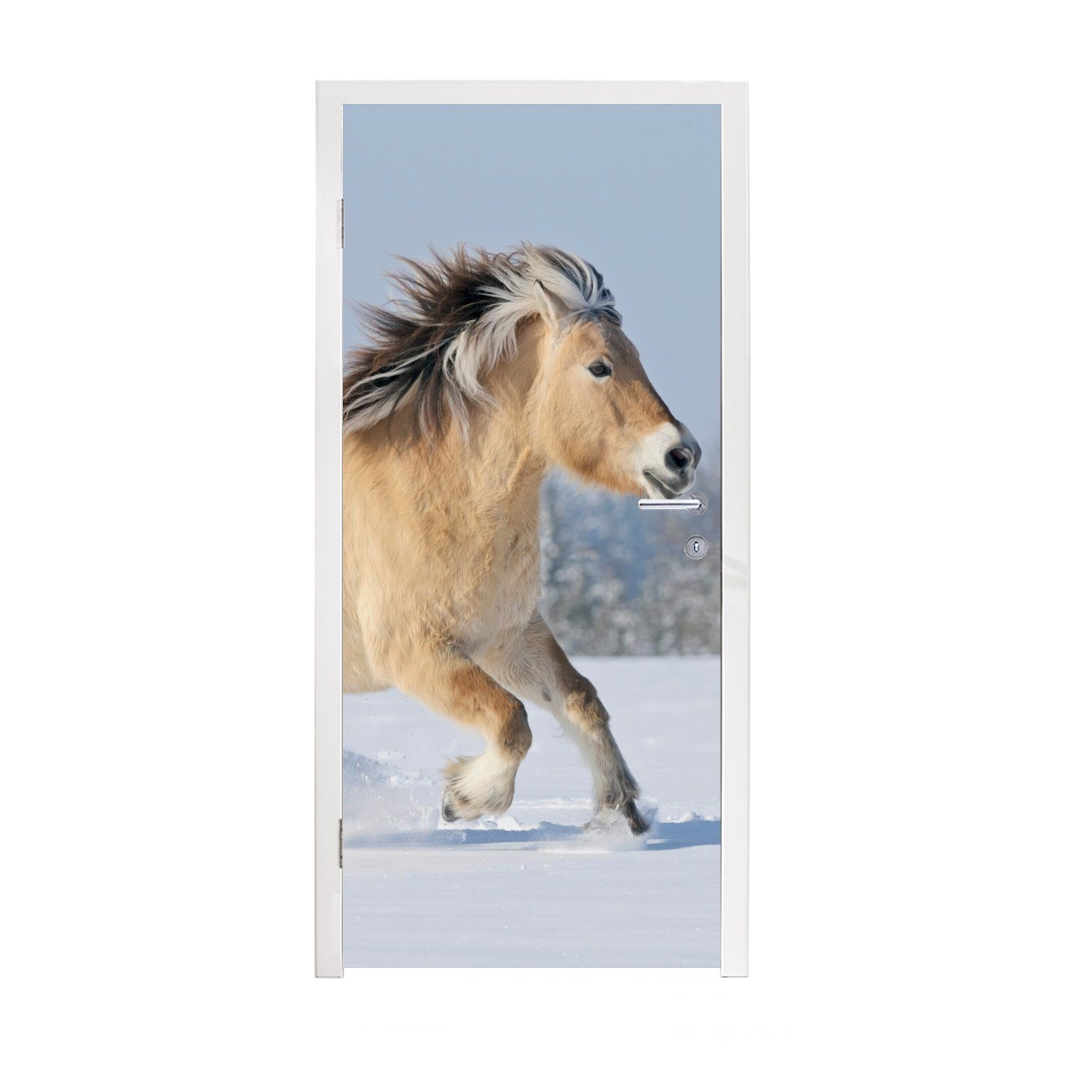 MuchoWow Türtapete Fjordpferd läuft durch den Schnee, Matt, bedruckt, (1 St), Fototapete für Tür, Türaufkleber, 75x205 cm