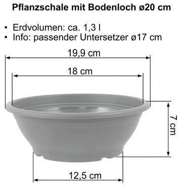 Heimwerkercenter Pflanzschale MePla Pflanzschale mit Bodenloch ø20-60 cm, wetterfest aus UV-beständigem Kunststoff
