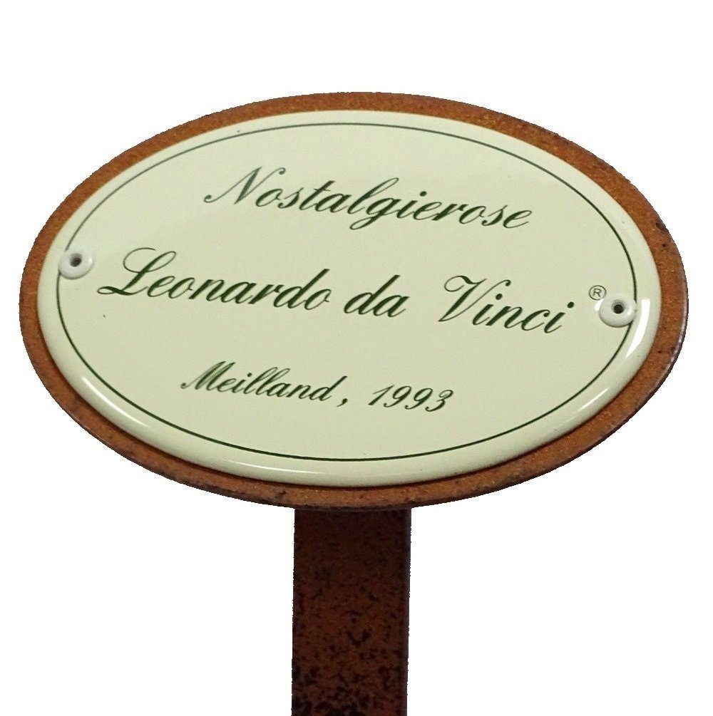 Leonardo Gartenstecker Vinci Rosenstecker, da Linoows Nostalgierose Rosenschild