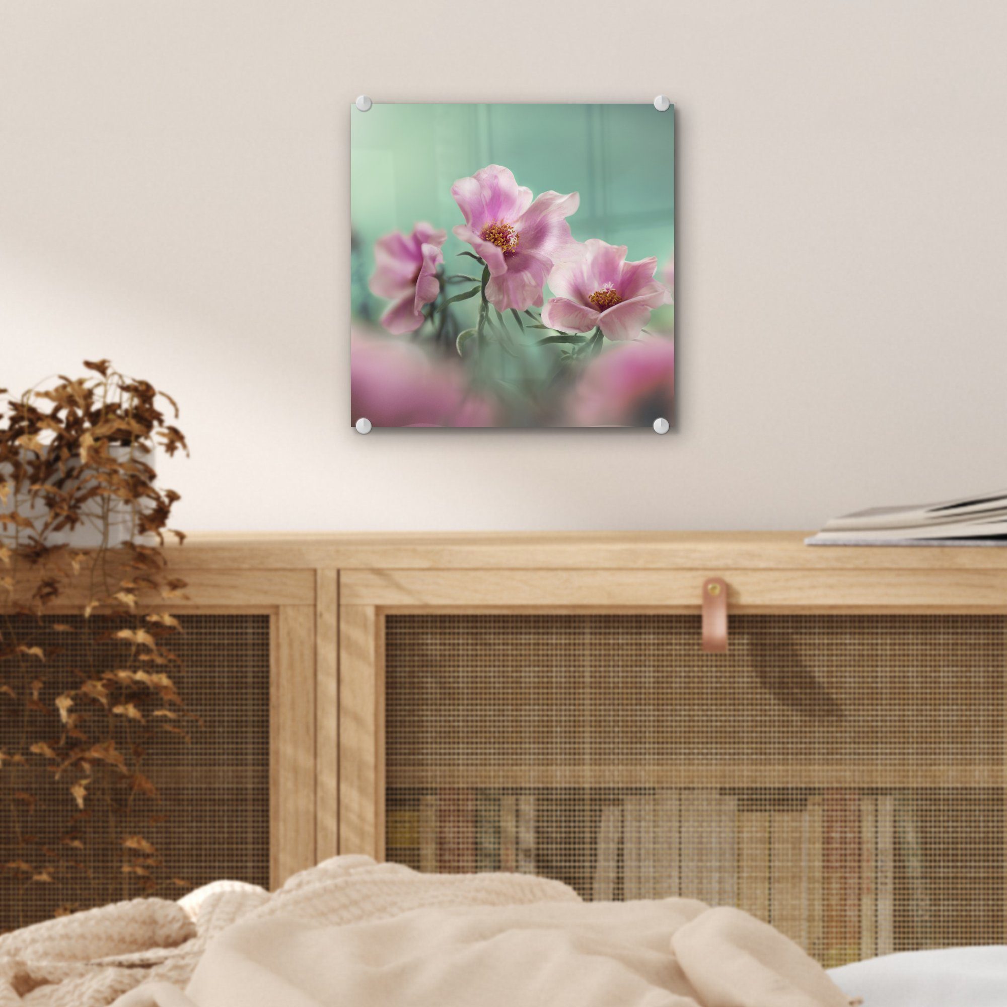 Glas Wanddekoration (1 Tulpe auf einer MuchoWow türkisfarbenem Acrylglasbild Glas St), Blätter rosa auf - Bilder Hintergrund, - - Glasbilder Wandbild mit Foto