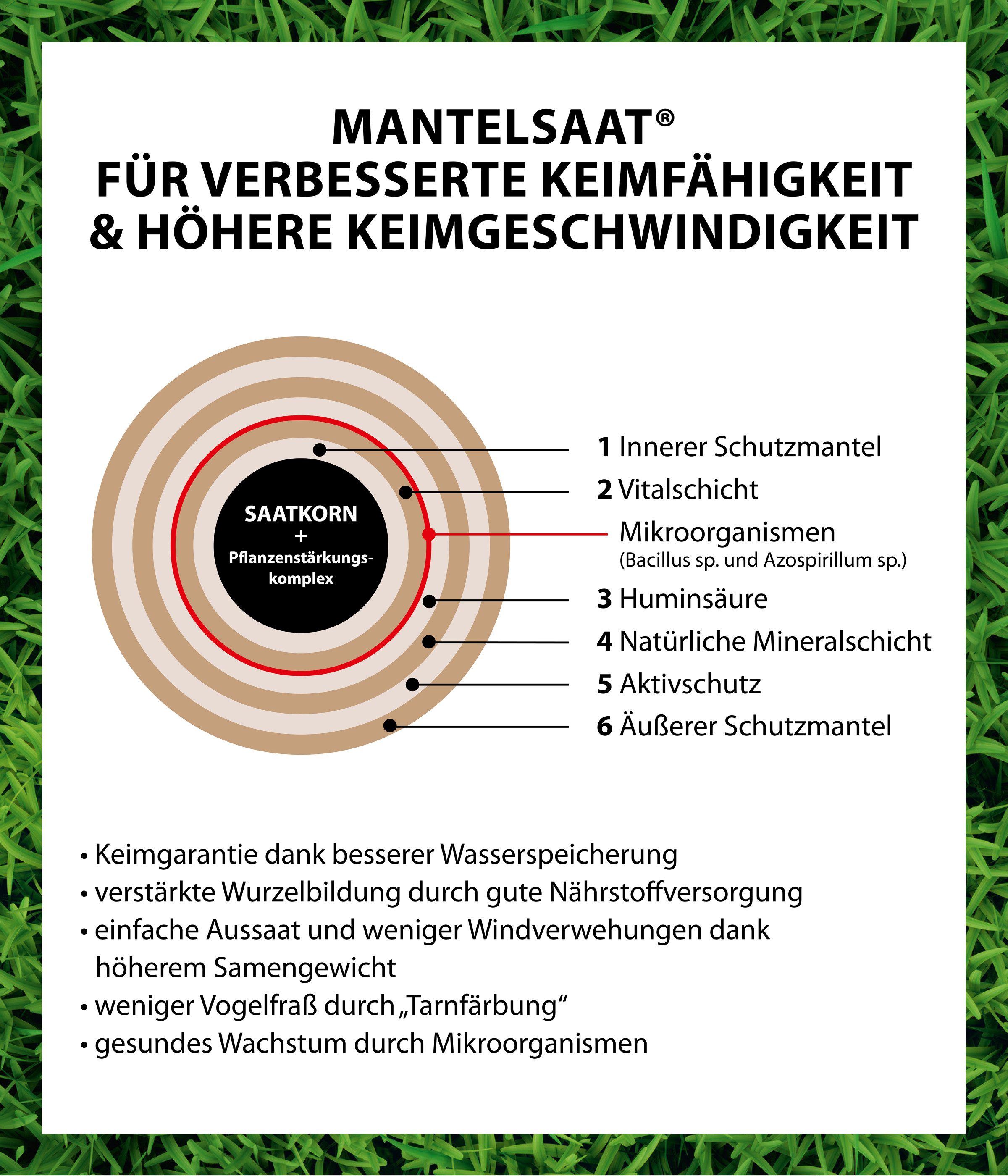 Dehner Rasensamen Rasen Verti-Kur Saatgut, mit Dünger & Substrat, 4,5 kg, zur Regeneration, mit Mantelsaat, pflegeleicht – Bild 4 von 5