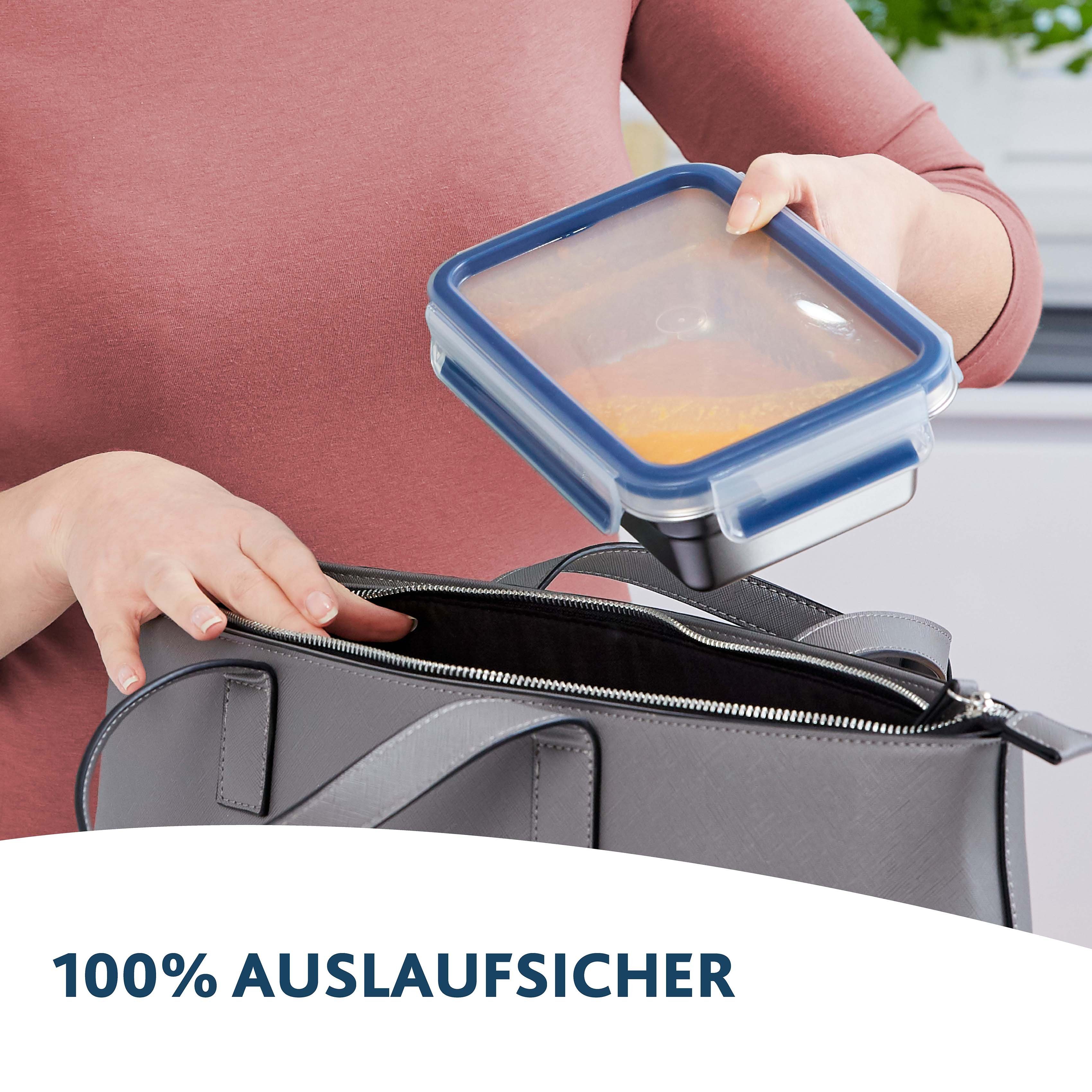Emsa Frischhaltedose Clip & Close, Edelstahl 18/10, Kunststoff, (Set, 1-tlg), Edelstahl, frost-, spülmaschinen- und backofenfest