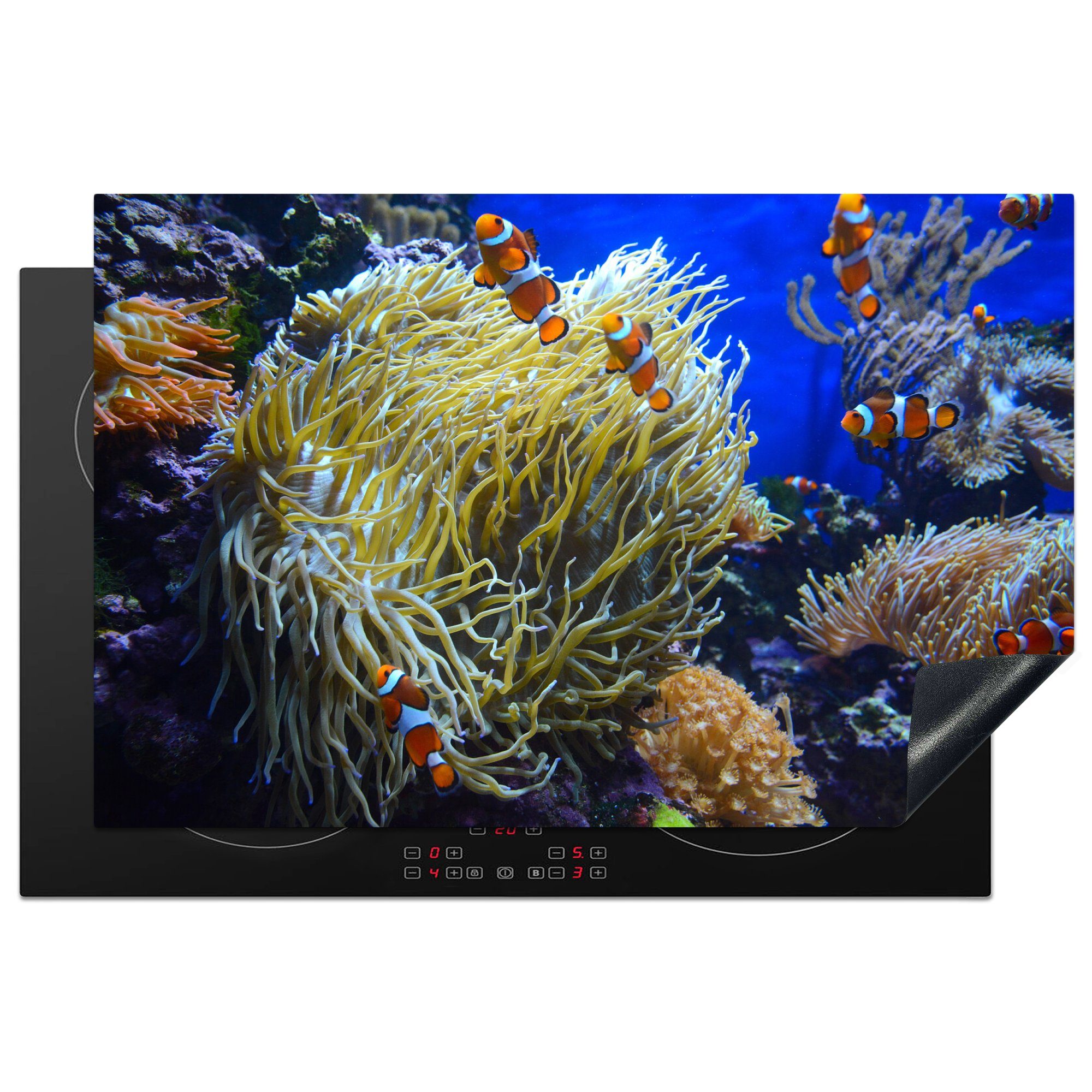 (1 Koralle Tropisch tlg), cm, Induktionskochfeld die Nemo, für - 81x52 küche, Schutz Ceranfeldabdeckung Vinyl, MuchoWow - Herdblende-/Abdeckplatte