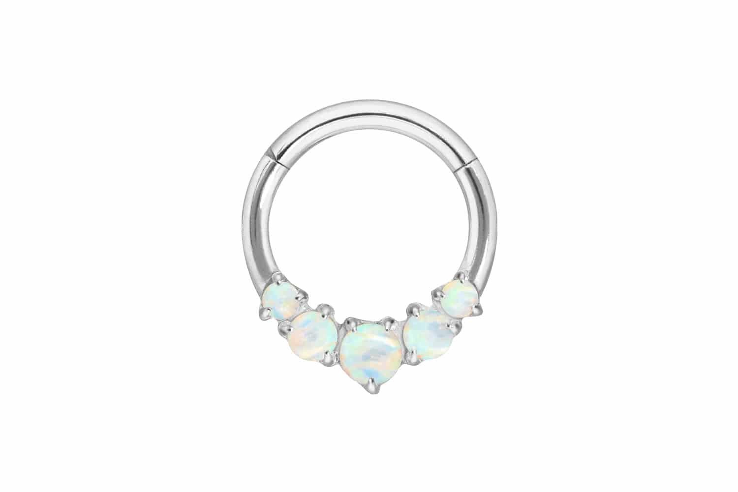 Nasenpiercing Titan Segmentring Clicker 5 SYNTHETISCHE OPALE Ohrpiercing Septum Nase