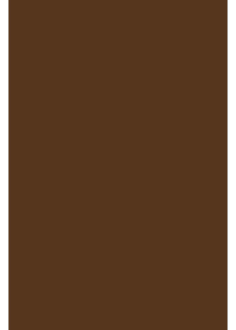Hilltop Transparentpapier A4 Transferfolie/Textilfolie zum Aufbügeln - perfekt zum Plottern Chocolate