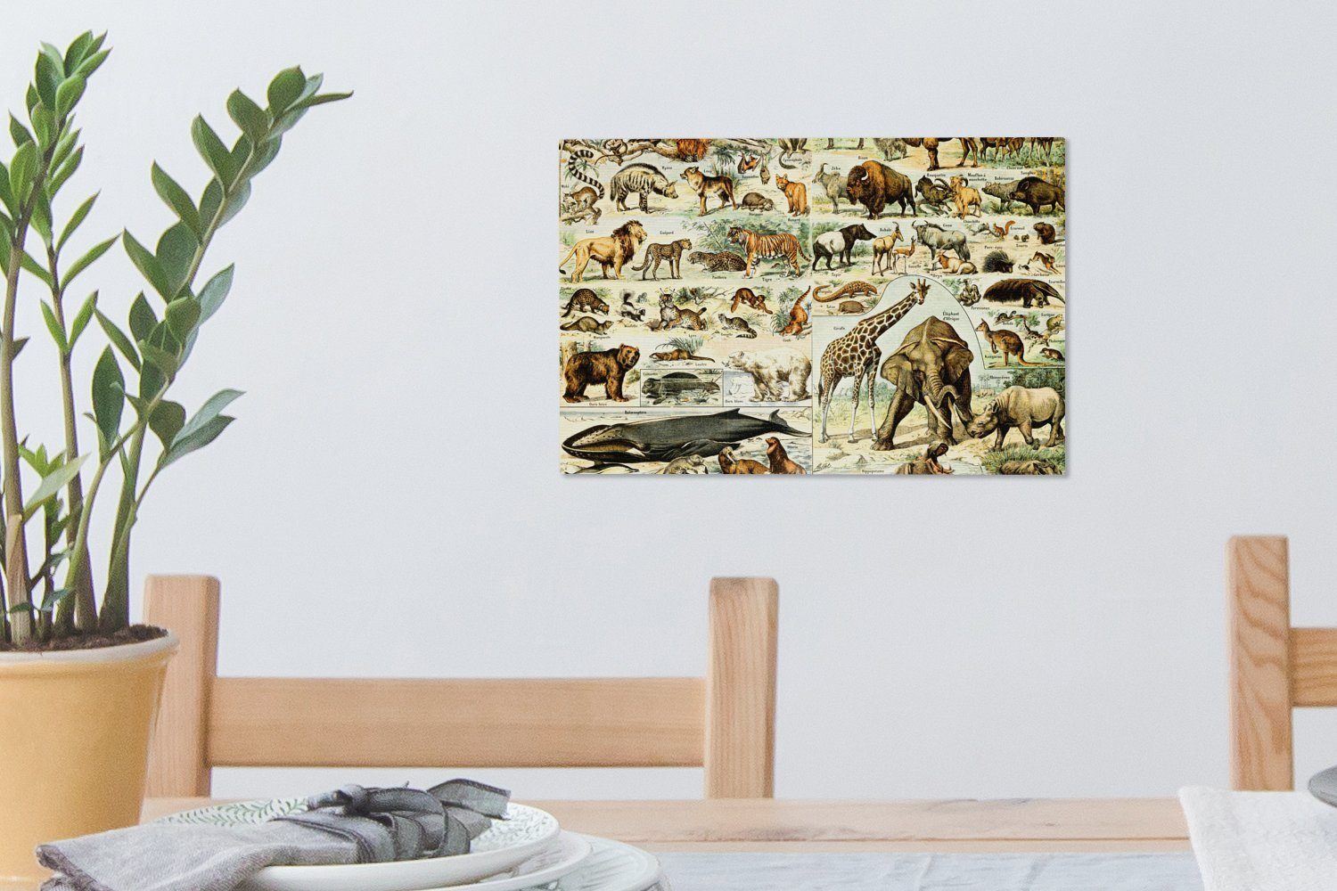(1 - Giraffe Leinwandbild St), Tiere Löwe, Wanddeko, 30x20 - Wandbild Aufhängefertig, Leinwandbilder, OneMillionCanvasses® cm