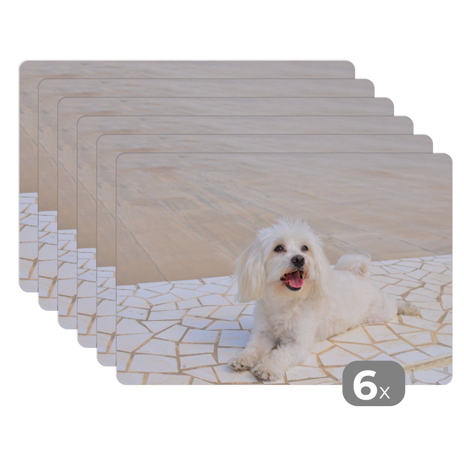 Platzset, Ein Malteser Hund liegt auf einem Weg, MuchoWow, (6-St), Platzset, Platzdecken, Platzmatte, Tischmatten, Schmutzabweisend