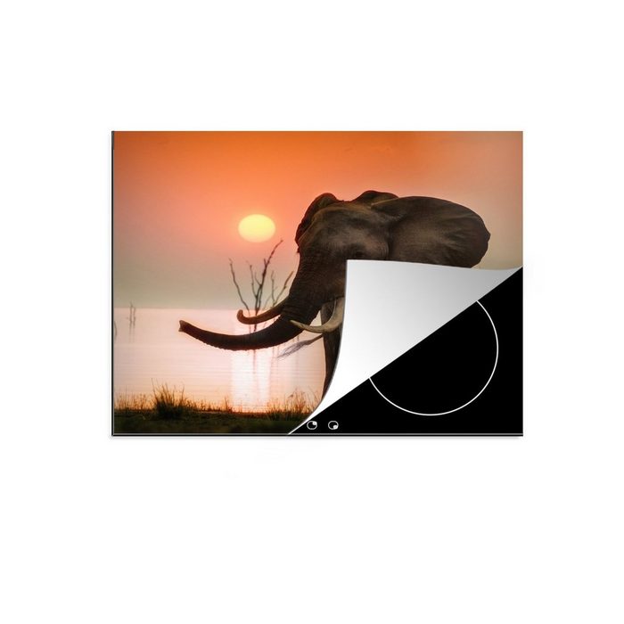 MuchoWow Herdblende-/Abdeckplatte Afrikanischer Elefant am Karibasee Vinyl (1 tlg) Mobile Arbeitsfläche nutzbar Ceranfeldabdeckung ZR10716