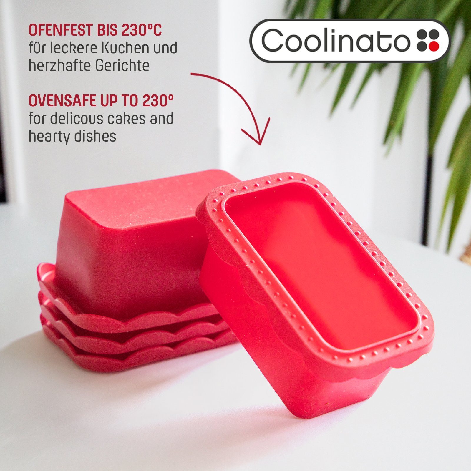 Coolinato Backform Coolinato Silikon Kastenform Set 5tlg, ROT, inkl. Rezepte