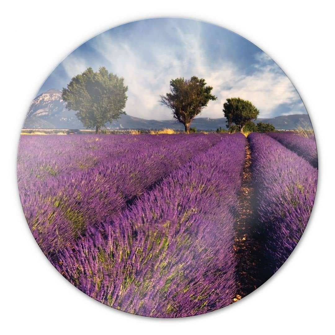 K&L Wall Art Glasbild Glas Wandbild Rund Glasbild Lavendel Blumenwiese Lila Blüten, Wandschutz Deko Bilder