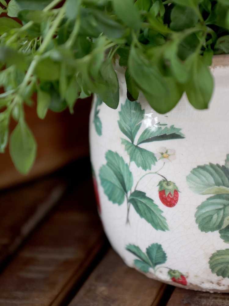 Chic Antique Blumentopf Chic Antique Blumentopf FRAISES Übertopf mit Erdbeeren 15x13 cm