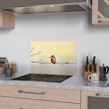 DEQORI Küchenrückwand 'Königsfischer auf Zweig', Glas Spritzschutz Badrückwand Herdblende