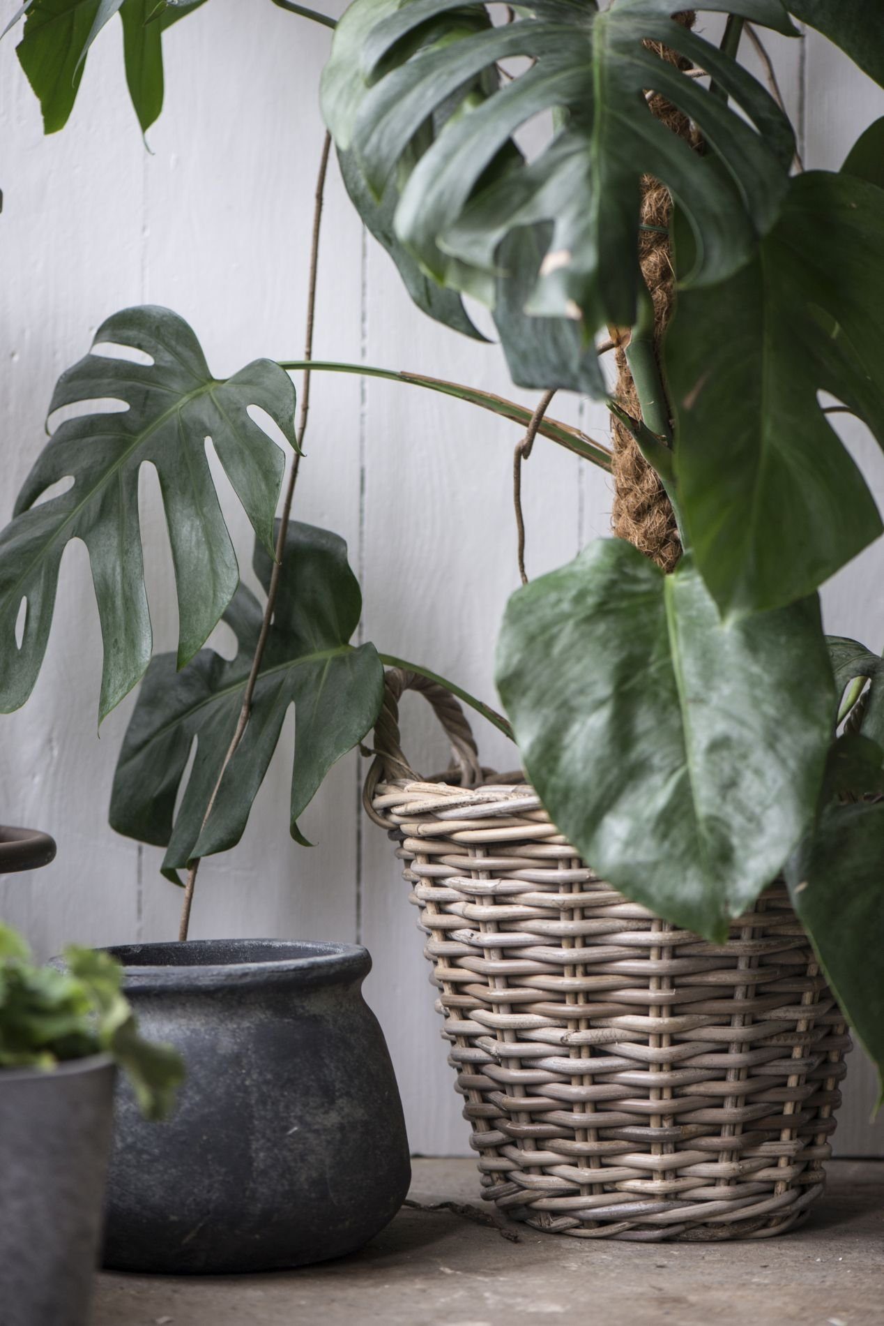 Ib Laursen Pflanzkübel Pflanzenkorb Blumenkorb Blumentopf günstig online kaufen
