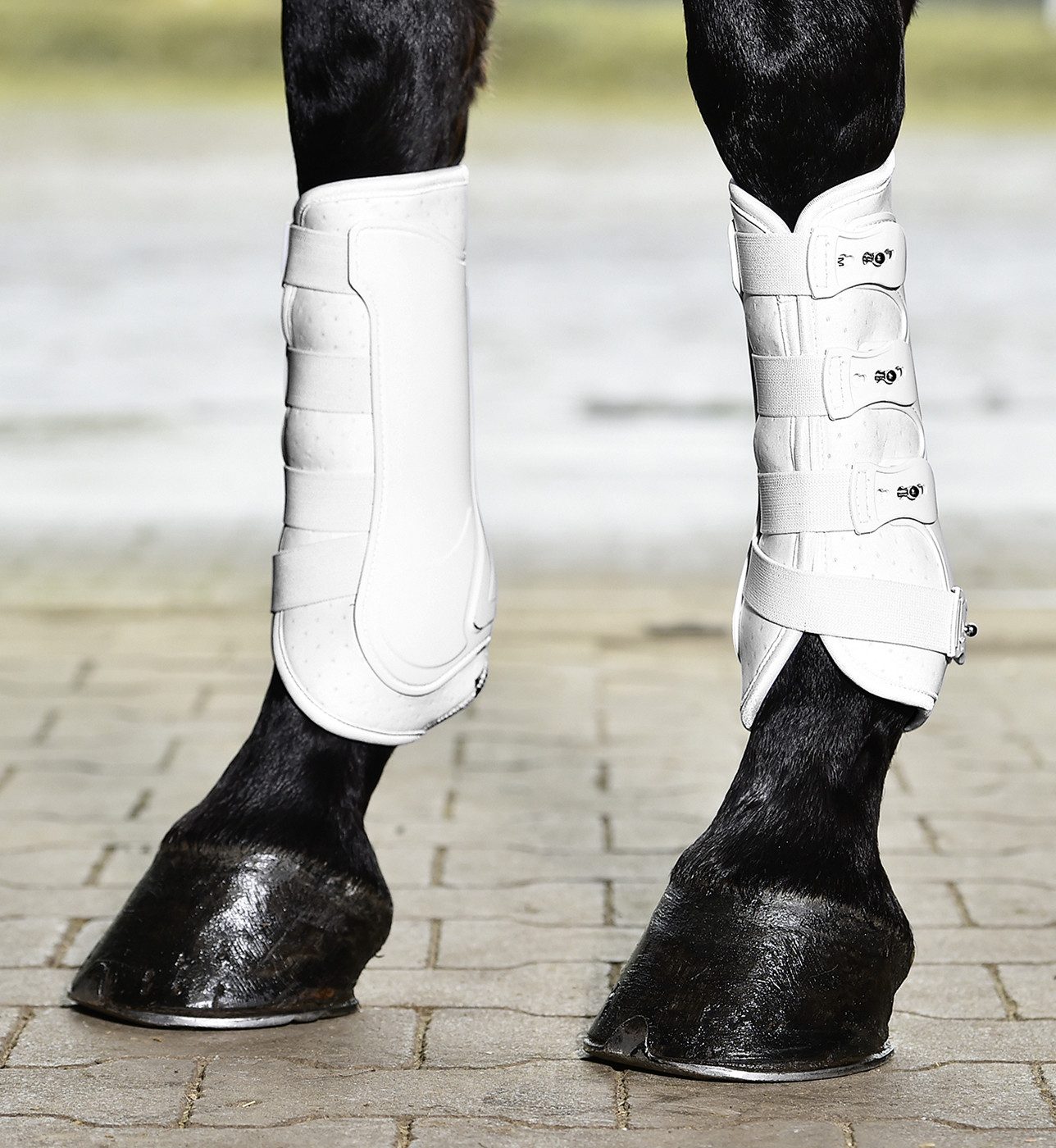 BUSSE Gamaschen Busse Gamaschen DRESSAGE-PRO günstig online kaufen