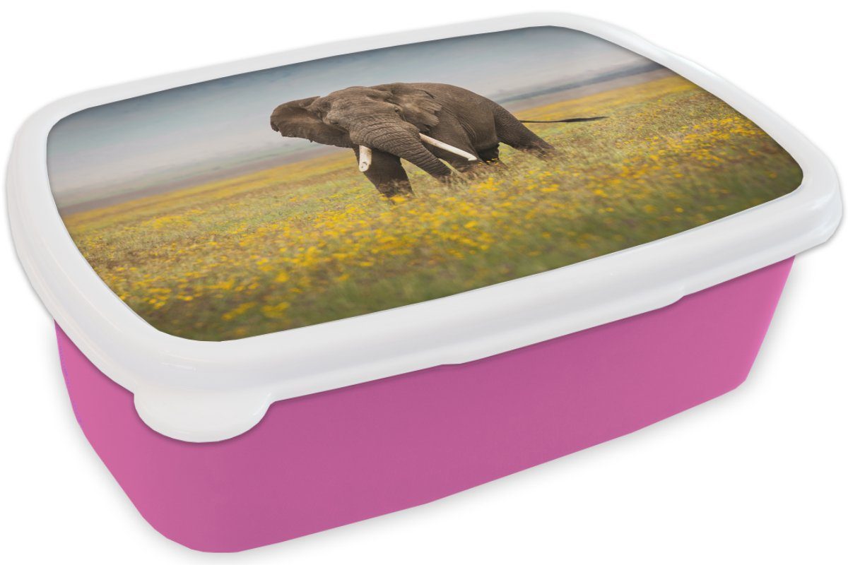 - Snackbox, (2-tlg), Mädchen, - Kunststoff, Tiere Erwachsene, für - rosa Elefant MuchoWow Natur, - Blumen Kunststoff Brotdose Lunchbox Kinder, Gras Brotbox
