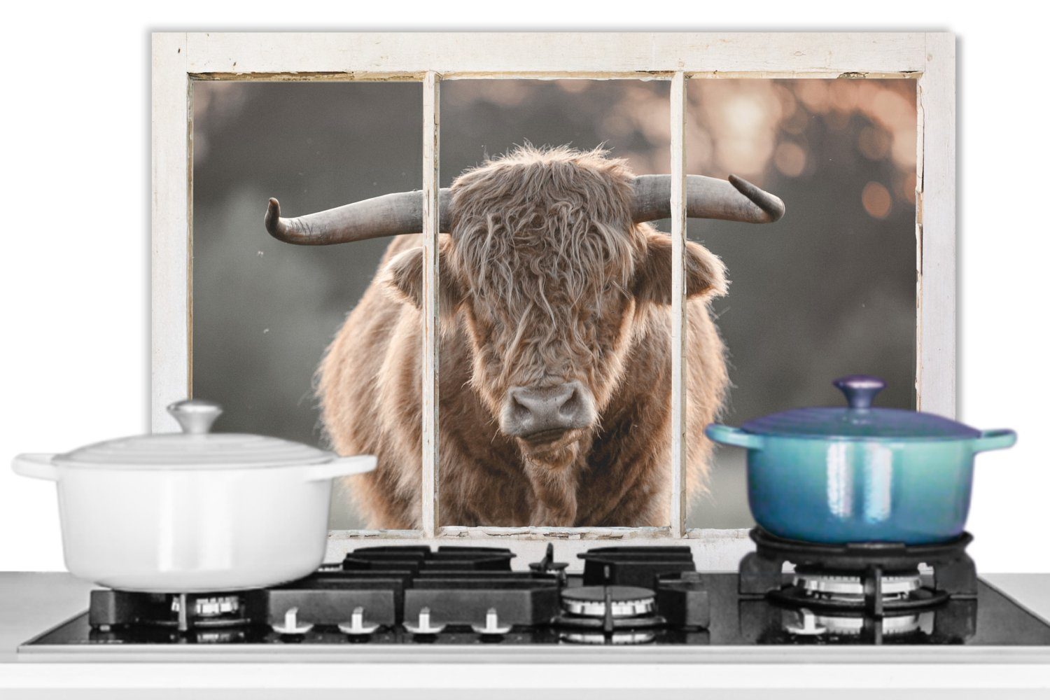 MuchoWow Küchenrückwand Scottish Wandschutz, Herdblende aus küchen - - cm, Ansicht (1-tlg), Highlander 60x40 Temperaturbeständig Hörner