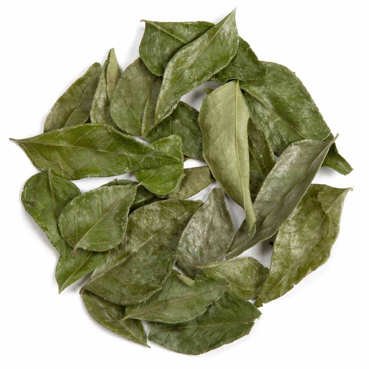 Pfefferdieb Gewürz Premium Curryblätter aus Wildsammlung, ganz, BIO, 20g, Feinwürzig, leicht rauchig mit leichter angenehm frischer Zitrusnote. – Bild 2 von 4