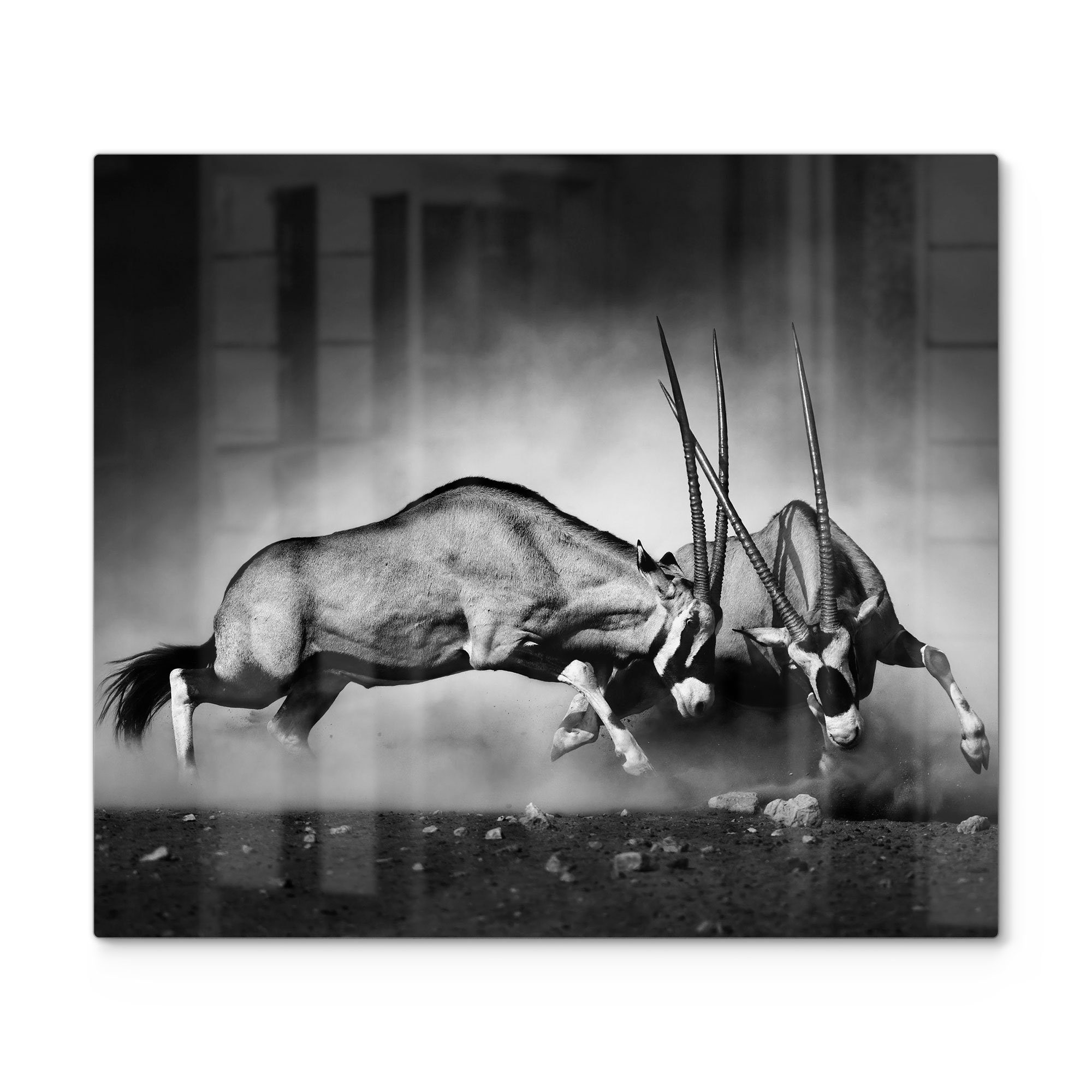DEQORI Herdblende-/Abdeckplatte 'Aggressive Oryxantilopen', Glas, (1 tlg), Glas Herdabdeckplatte Ceranfeld Herd
