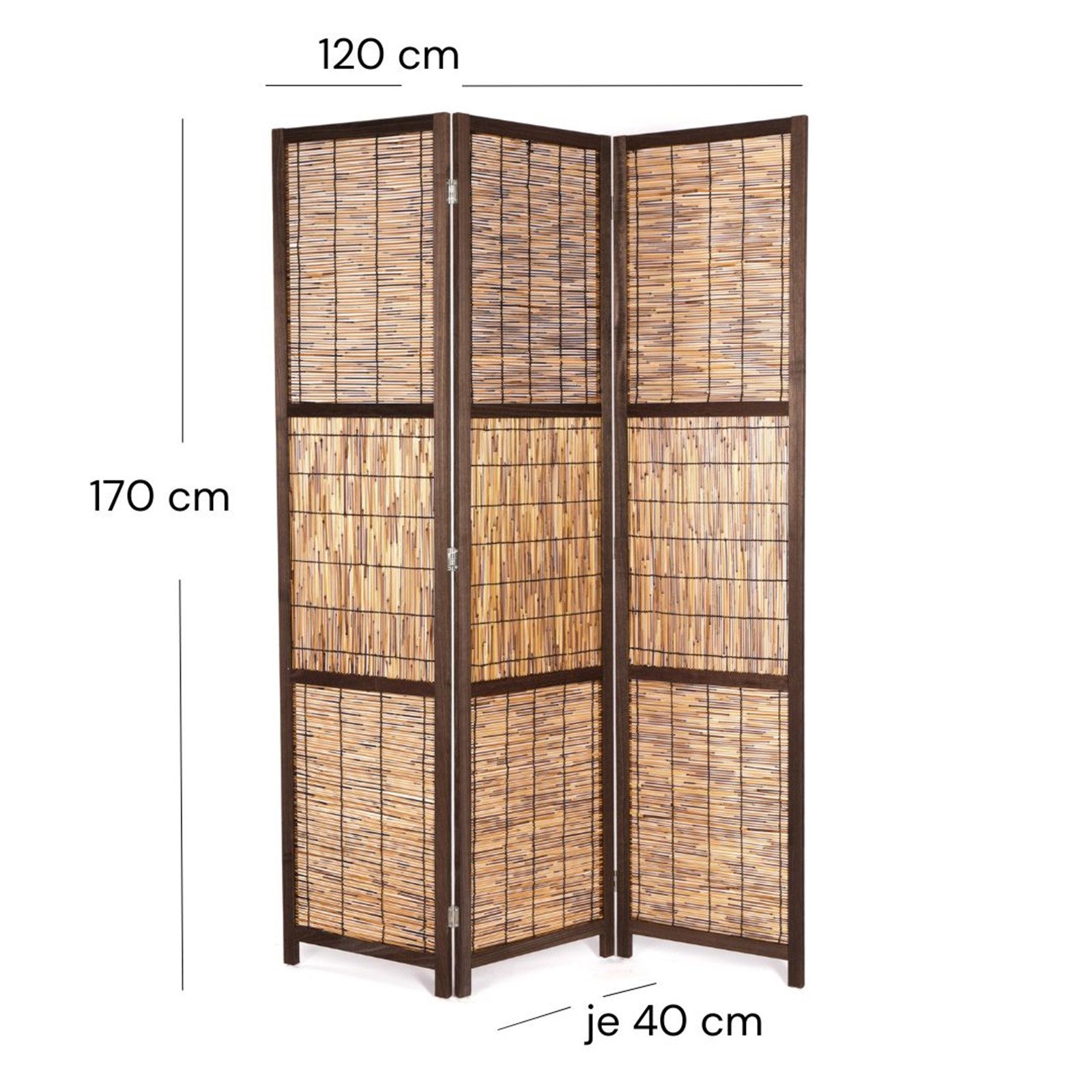 CREEDWOOD Paravent RAUMTEILER "CALA", Schilfrohr, 170x120 cm, Natur Paraven günstig online kaufen