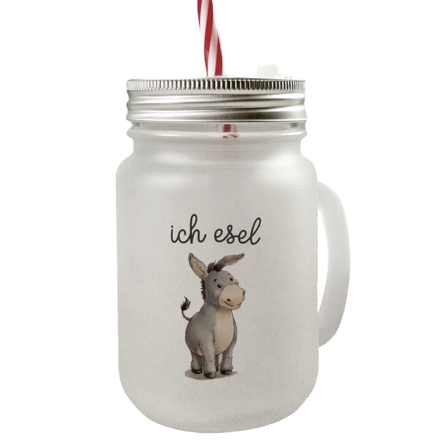 Glas Ich Esel Mason Jar Henkel Trinkglas mit Deckel für Tierliebhaber