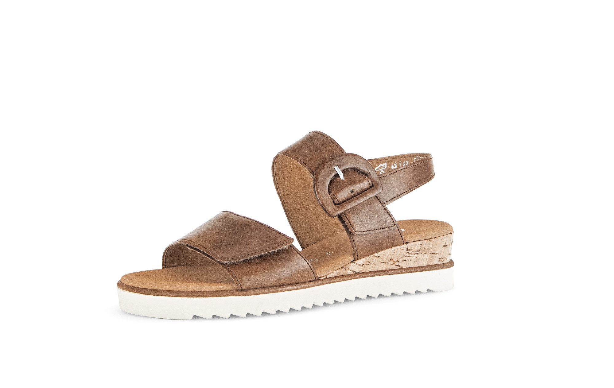 camel (53)