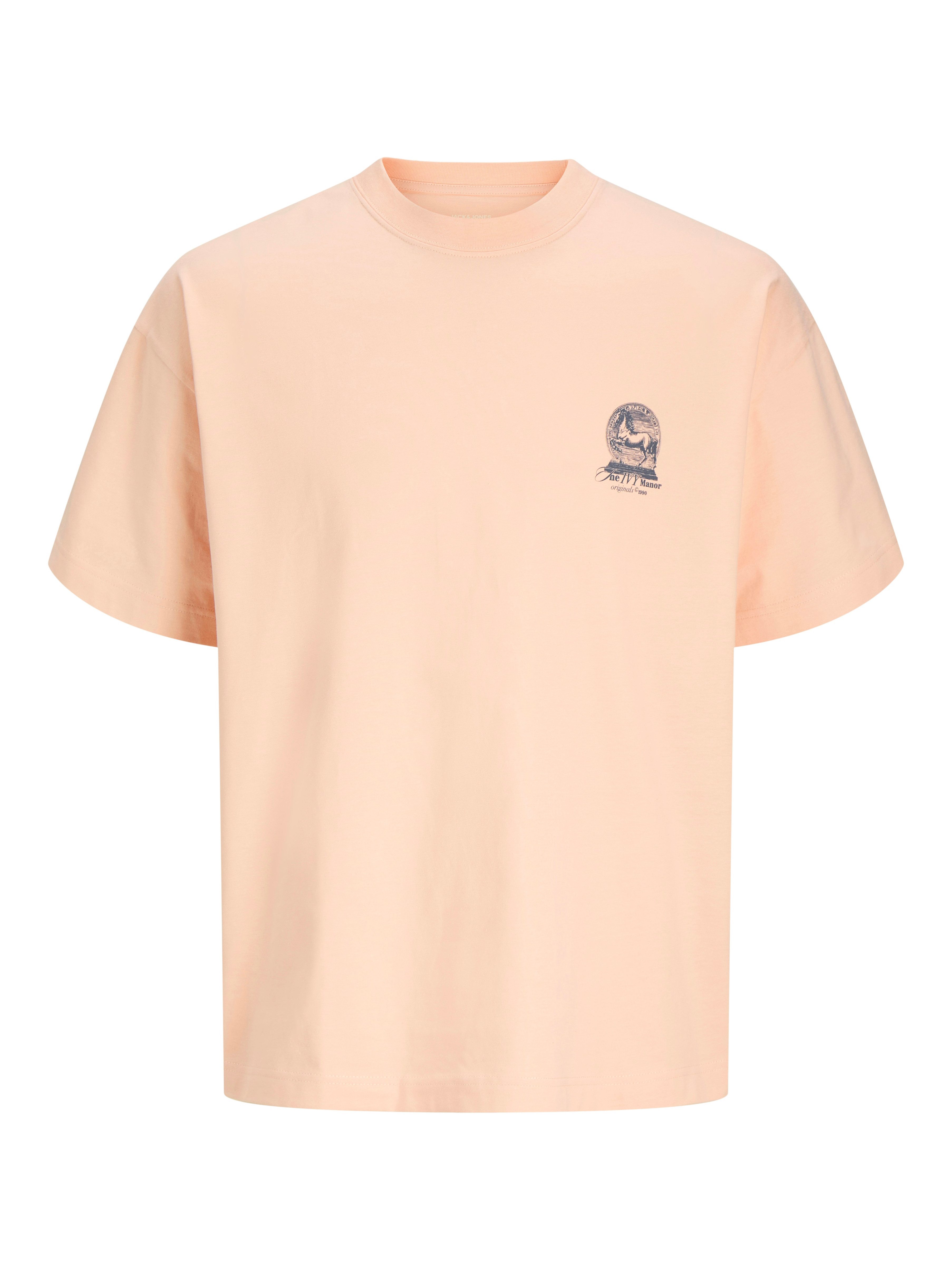 Kurzarmshirt JORMAINE BACK TEE SS CREW NECK SN
